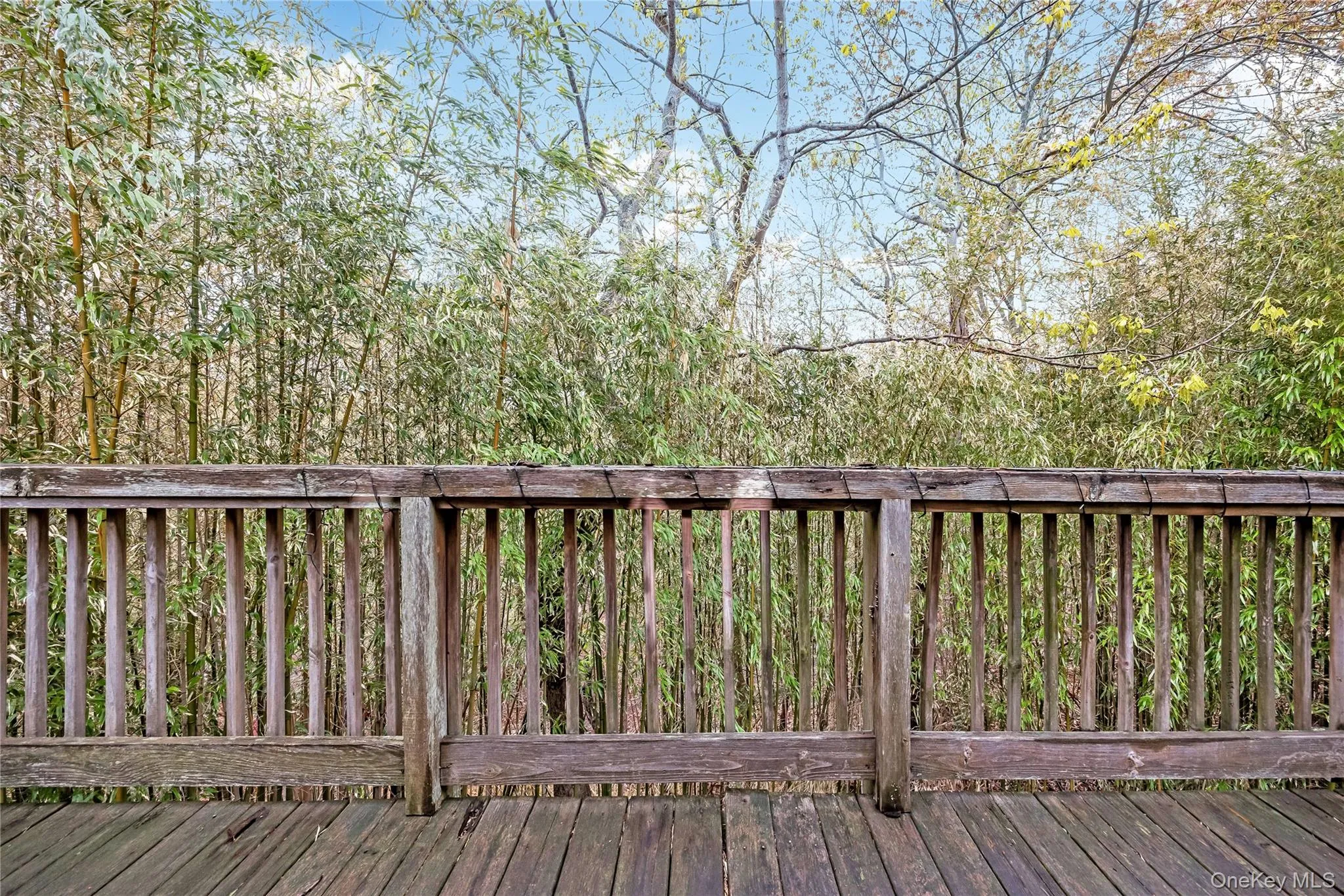 3010 Hulse Landing, Riverhead, NY, 1 Bedroom Bedrooms, 4 Rooms Rooms,1 BathroomBathrooms,Residential Sale,For Rent,Hulse Landing,0,998240 3010 Hulse Landing, Riverhead, NY, 1 Bedroom Bedrooms, 4 Rooms Rooms,1 BathroomBathrooms,Residential Sale,For Rent,Hulse Landing,0,998240