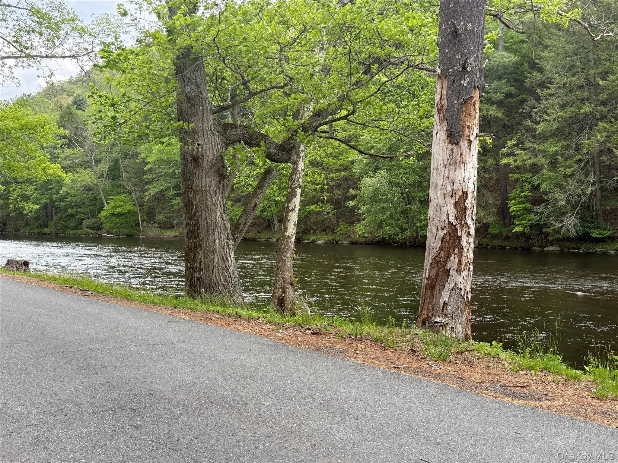 The Neversink River one street away. The Neversink River one street away.