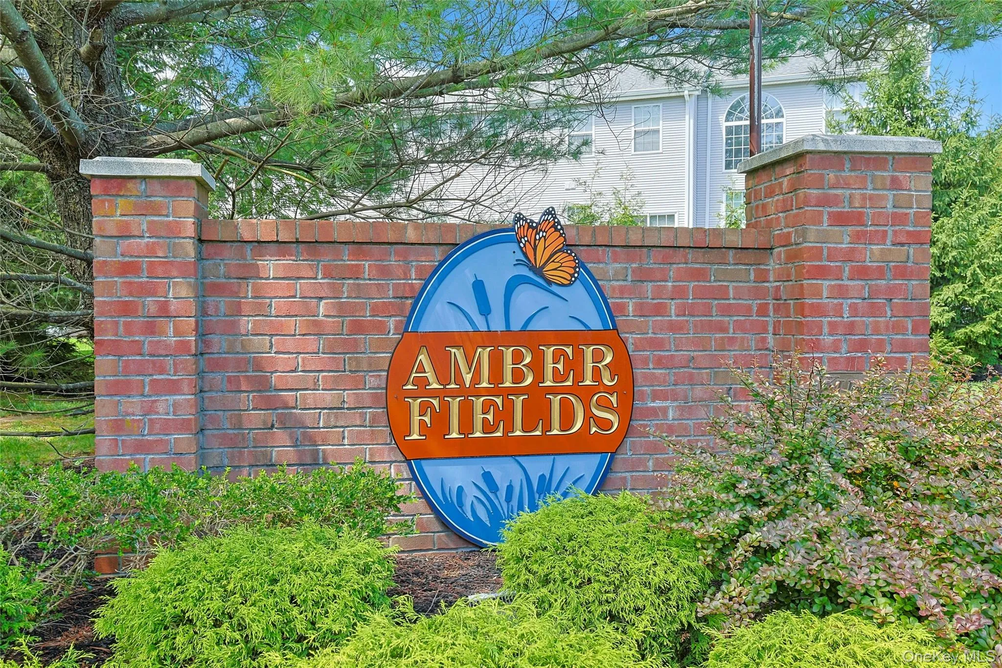 Coveted Amber Fields community Coveted Amber Fields community
