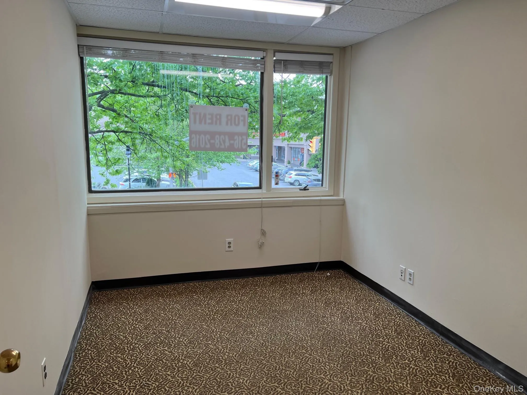 33 Great Neck Road, North Hempstead, NY, ,Commercial Lease,For Rent,Great Neck,0,998315 33 Great Neck Road, North Hempstead, NY, ,Commercial Lease,For Rent,Great Neck,0,998315