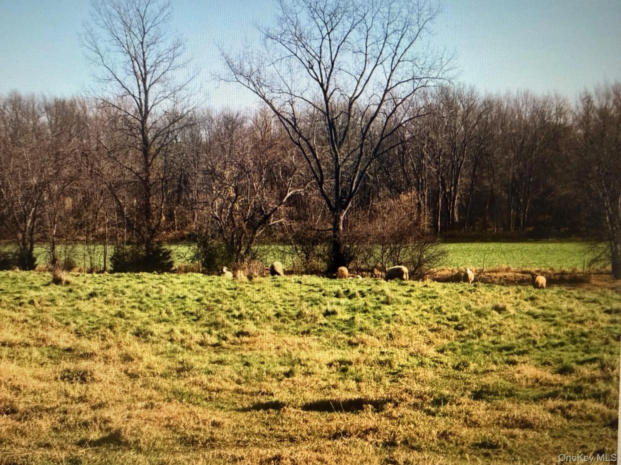 00 Spook Rock Road, Hudson, NY, ,Land,For Rent,Spook Rock,0,998331 00 Spook Rock Road, Hudson, NY, ,Land,For Rent,Spook Rock,0,998331
