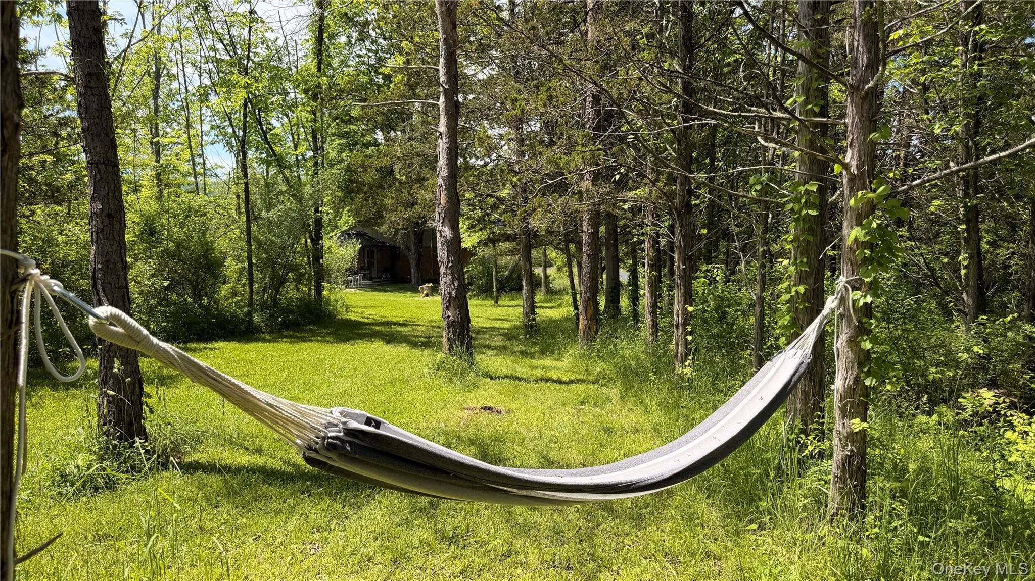 91 Mountain Rest Road, New Paltz, NY, 2 Bedrooms Bedrooms, 6 Rooms Rooms,1 BathroomBathrooms,Residential,For Rent,Mountain Rest,0,998339 91 Mountain Rest Road, New Paltz, NY, 2 Bedrooms Bedrooms, 6 Rooms Rooms,1 BathroomBathrooms,Residential,For Rent,Mountain Rest,0,998339