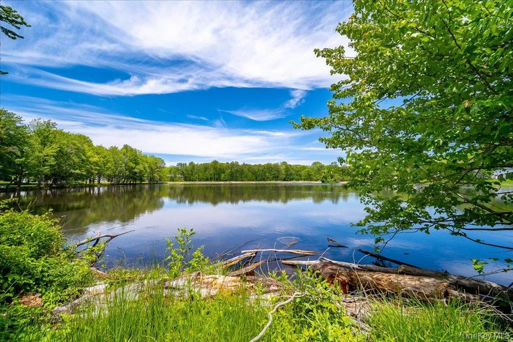 152 Eagleton Drive, Monroe, NY, 2 Bedrooms Bedrooms, 5 Rooms Rooms,2 BathroomsBathrooms,Residential,For Rent,Eagleton,0,998360 152 Eagleton Drive, Monroe, NY, 2 Bedrooms Bedrooms, 5 Rooms Rooms,2 BathroomsBathrooms,Residential,For Rent,Eagleton,0,998360