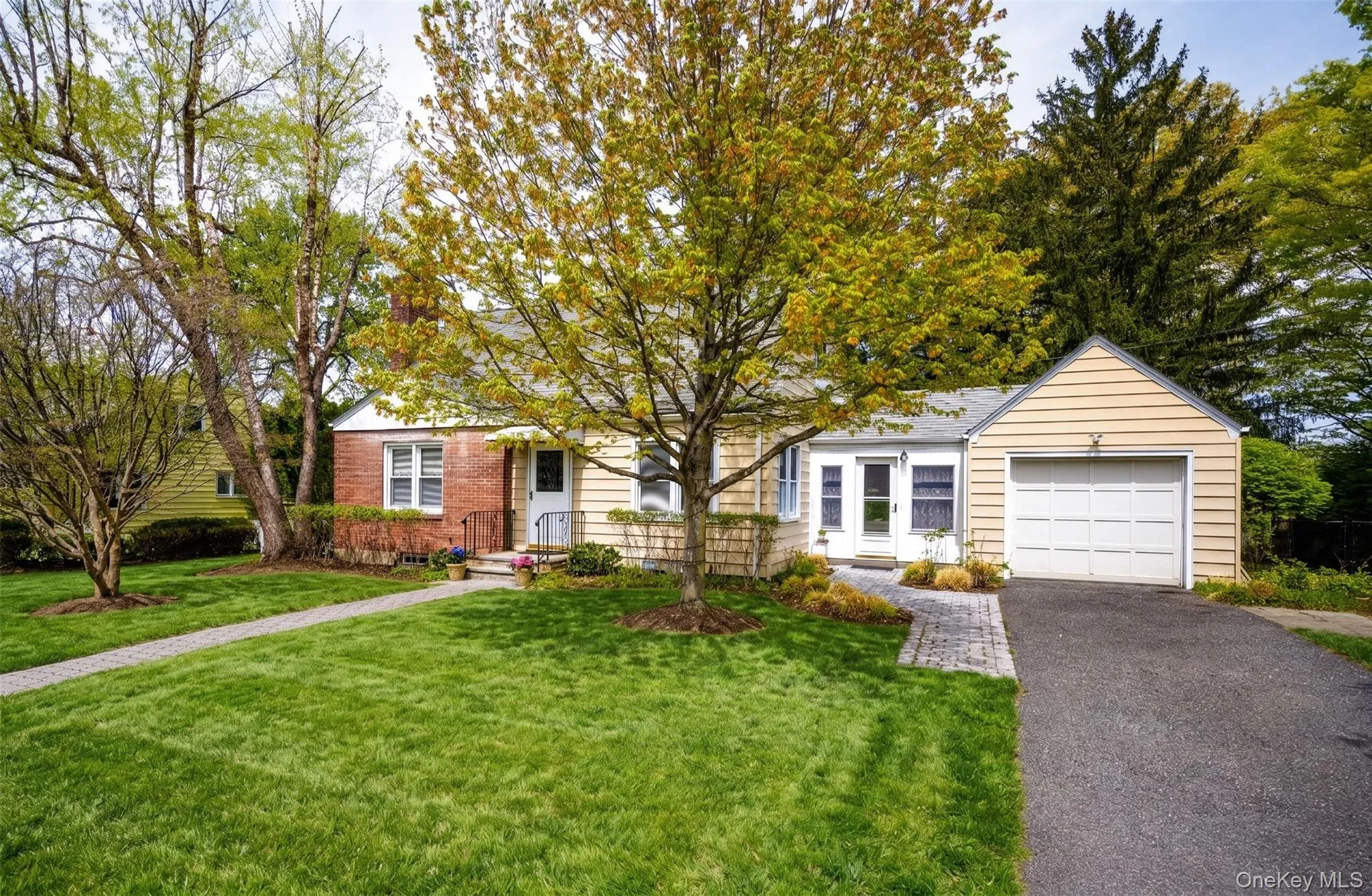 4 Grove Street, Greenburgh, NY, 3 Bedrooms Bedrooms, 6 Rooms Rooms,2 BathroomsBathrooms,Residential,For Rent,Grove,0,998389 4 Grove Street, Greenburgh, NY, 3 Bedrooms Bedrooms, 6 Rooms Rooms,2 BathroomsBathrooms,Residential,For Rent,Grove,0,998389