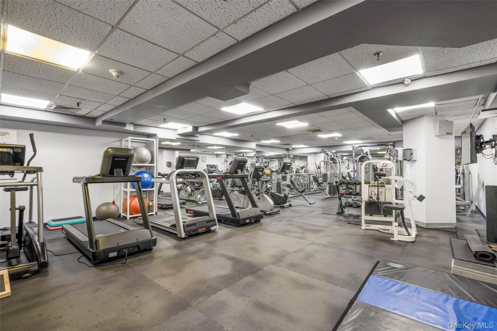 Fitness center featuring multiple treadmills, elliptical machines, weight machines, and free weights Fitness center featuring multiple treadmills, elliptical machines, weight machines, and free weights