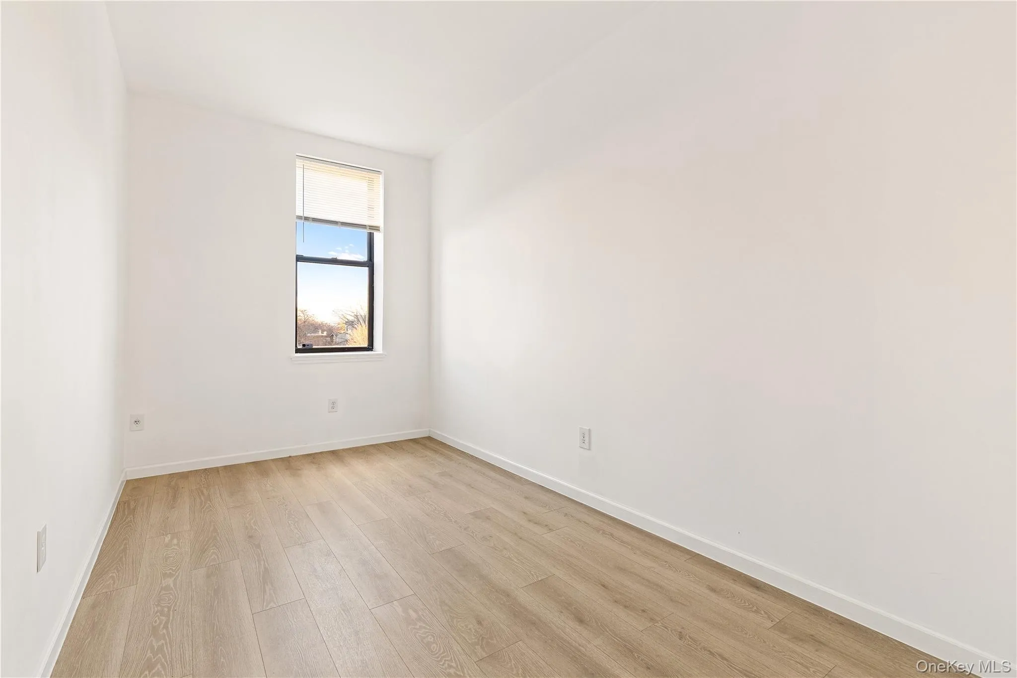 1644 Atlantic Avenue, New York, NY, 2 Bedrooms Bedrooms, 4 Rooms Rooms,1 BathroomBathrooms,Residential Lease,For Rent,Atlantic,0,998398 1644 Atlantic Avenue, New York, NY, 2 Bedrooms Bedrooms, 4 Rooms Rooms,1 BathroomBathrooms,Residential Lease,For Rent,Atlantic,0,998398