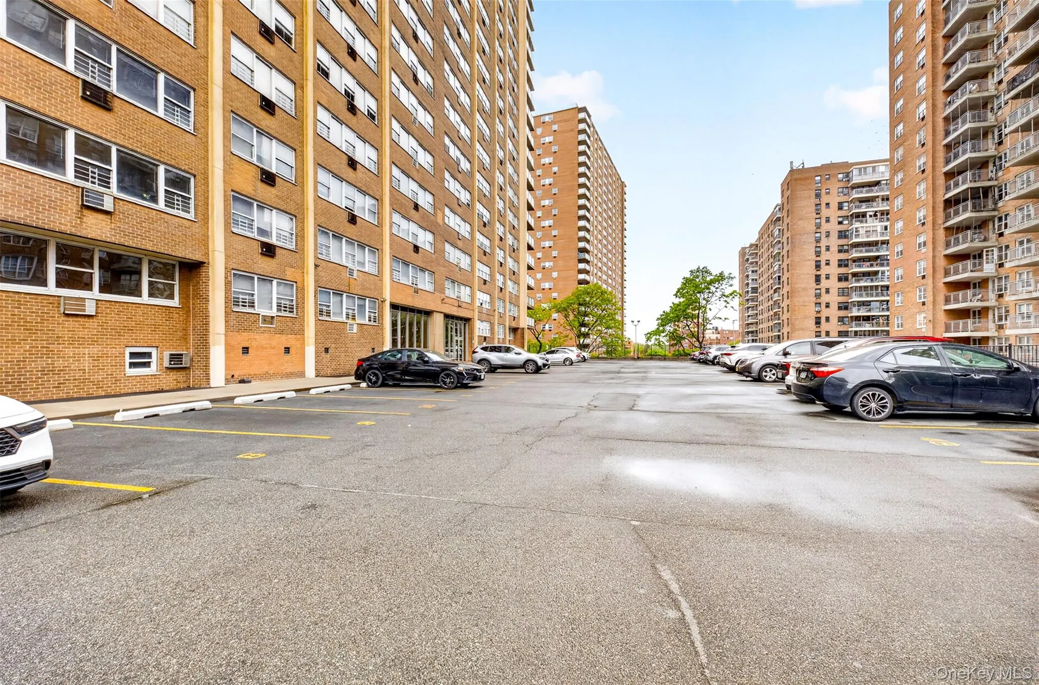 4370 Kissena Boulevard, New York, NY, ,Commercial Lease,For Rent,Kissena,0,998417 4370 Kissena Boulevard, New York, NY, ,Commercial Lease,For Rent,Kissena,0,998417