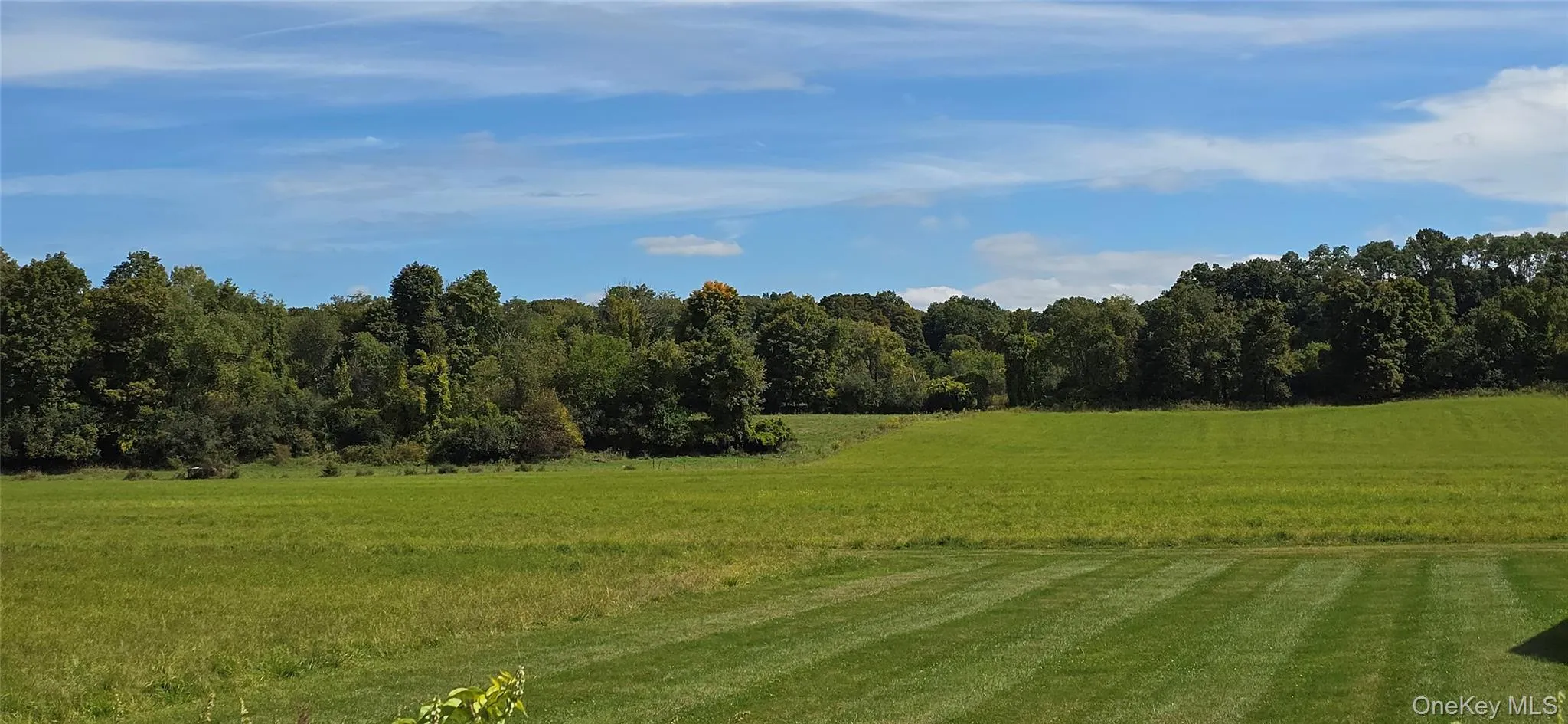 Upper field Upper field