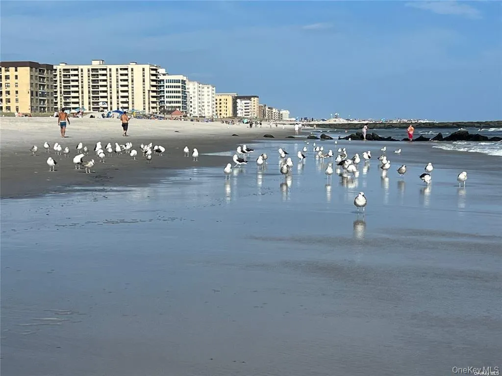 Beach! Beach!