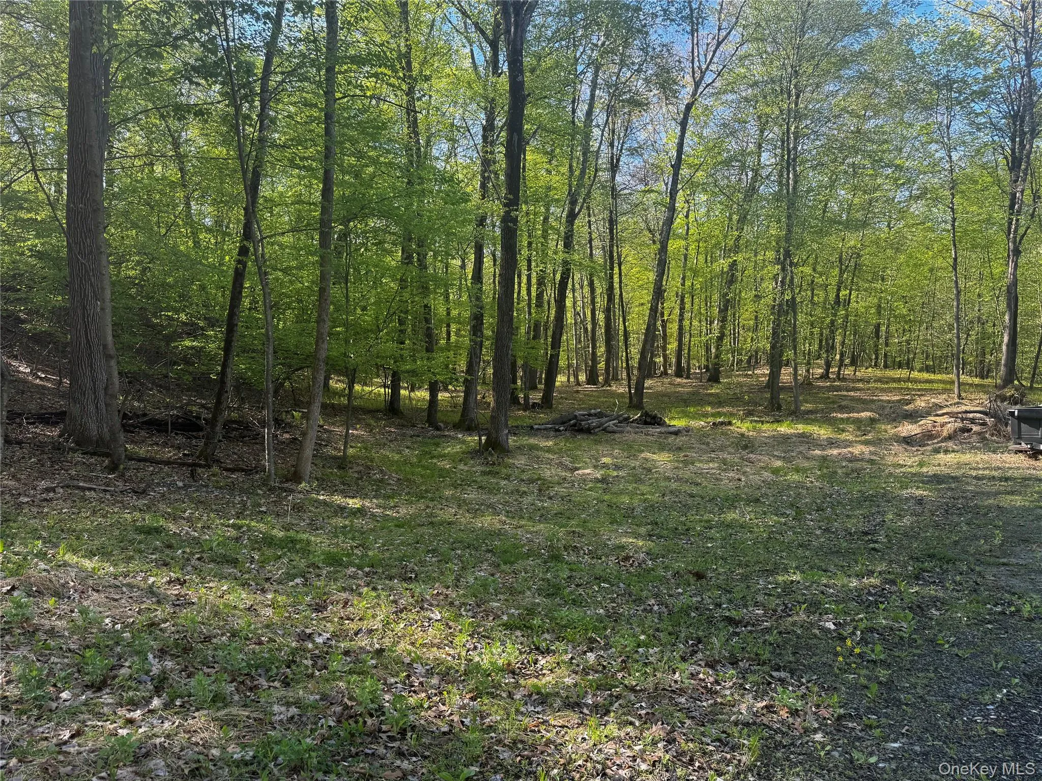 Hall Hill Road, Ancram, NY, ,Land,For Rent,Hall Hill,0,998490 Hall Hill Road, Ancram, NY, ,Land,For Rent,Hall Hill,0,998490