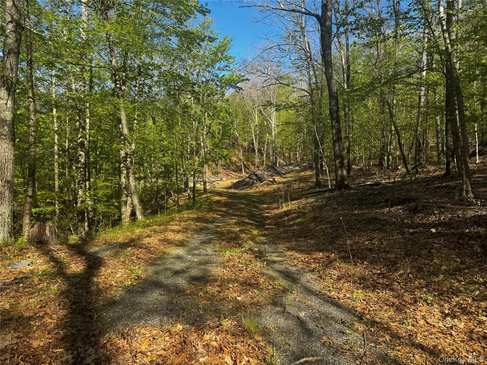 Hall Hill Road, Ancram, NY, ,Land,For Rent,Hall Hill,0,998490 Hall Hill Road, Ancram, NY, ,Land,For Rent,Hall Hill,0,998490