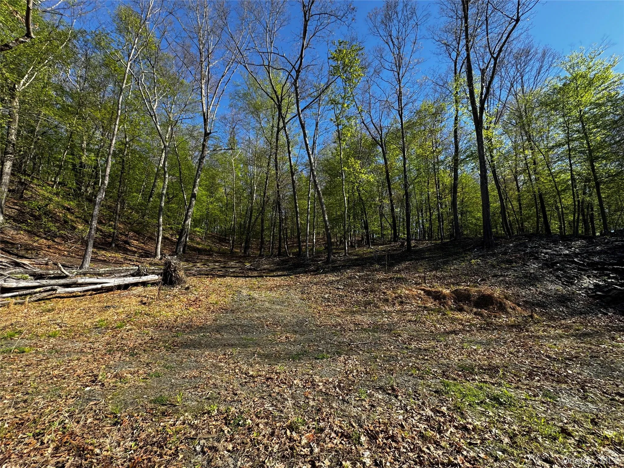 Hall Hill Road, Ancram, NY, ,Land,For Rent,Hall Hill,0,998490 Hall Hill Road, Ancram, NY, ,Land,For Rent,Hall Hill,0,998490