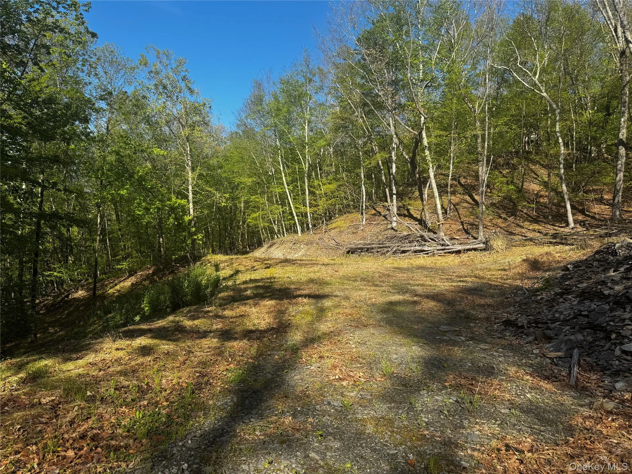 Hall Hill Road, Ancram, NY, ,Land,For Rent,Hall Hill,0,998490 Hall Hill Road, Ancram, NY, ,Land,For Rent,Hall Hill,0,998490