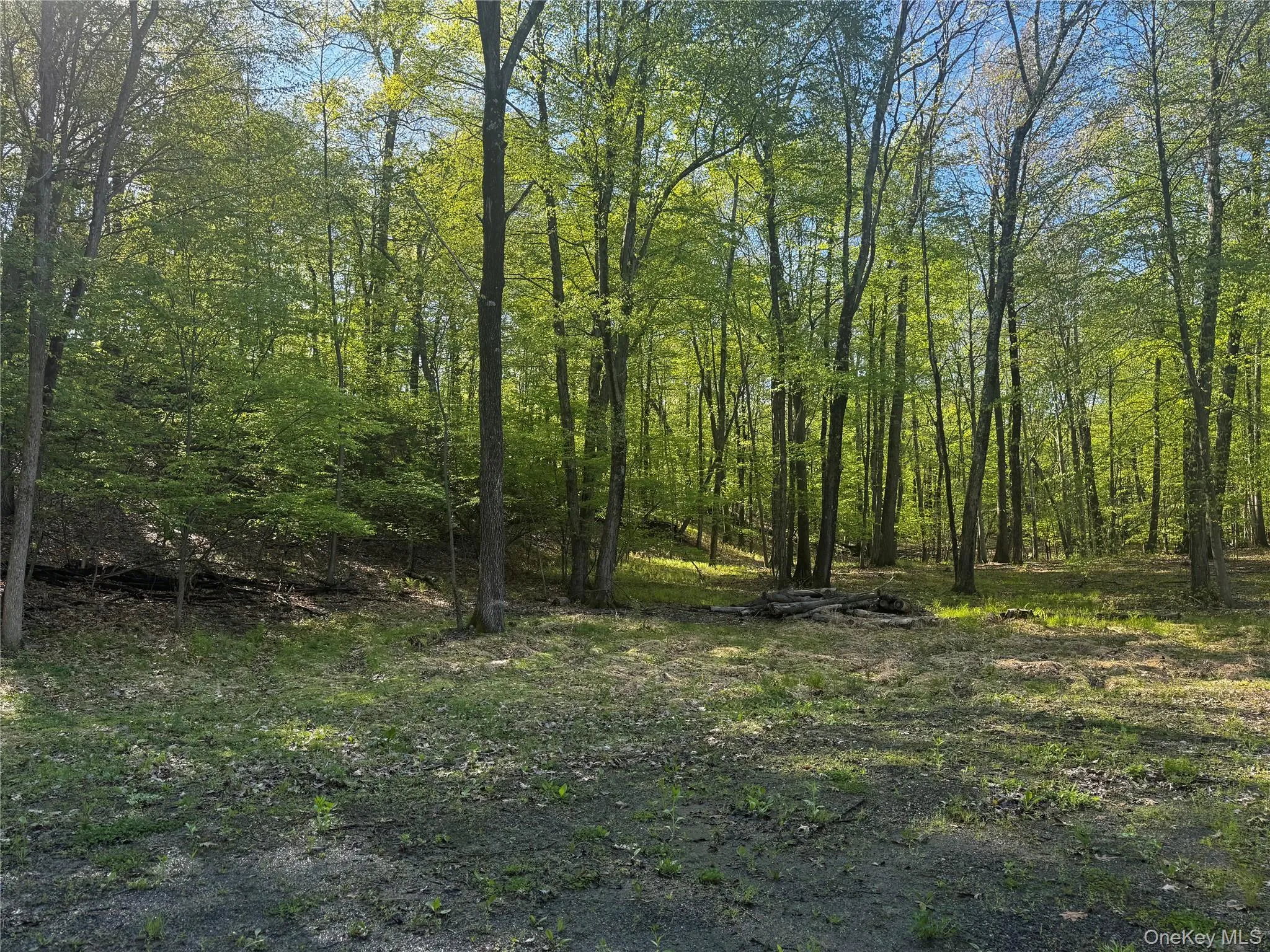 Hall Hill Road, Ancram, NY, ,Land,For Rent,Hall Hill,0,998490 Hall Hill Road, Ancram, NY, ,Land,For Rent,Hall Hill,0,998490