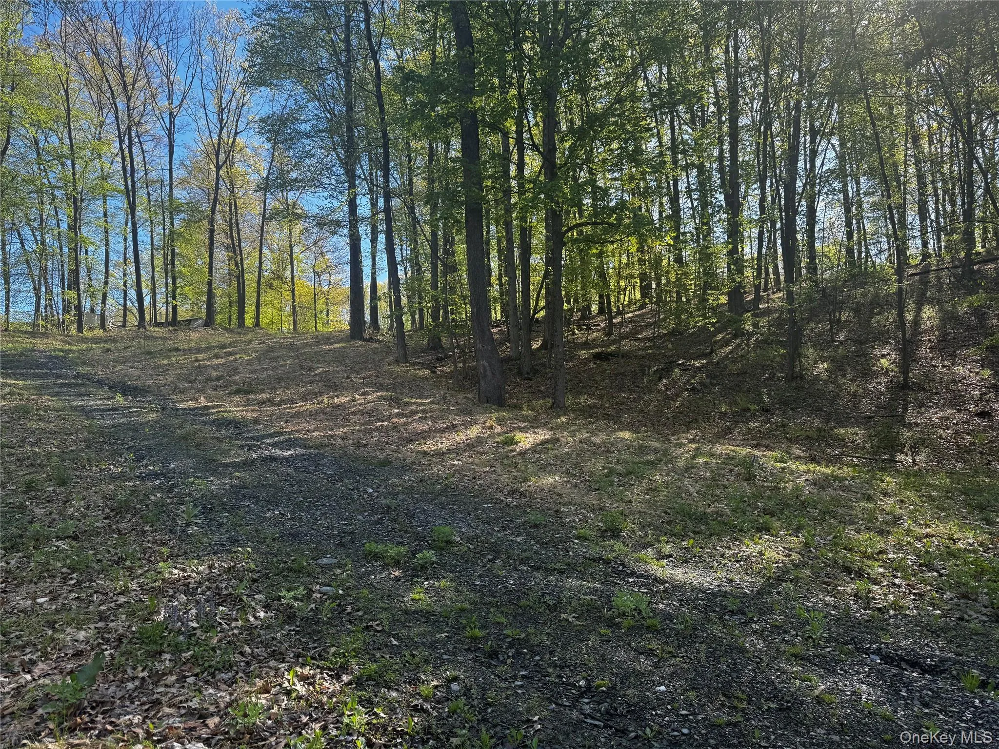 Hall Hill Road, Ancram, NY, ,Land,For Rent,Hall Hill,0,998490 Hall Hill Road, Ancram, NY, ,Land,For Rent,Hall Hill,0,998490