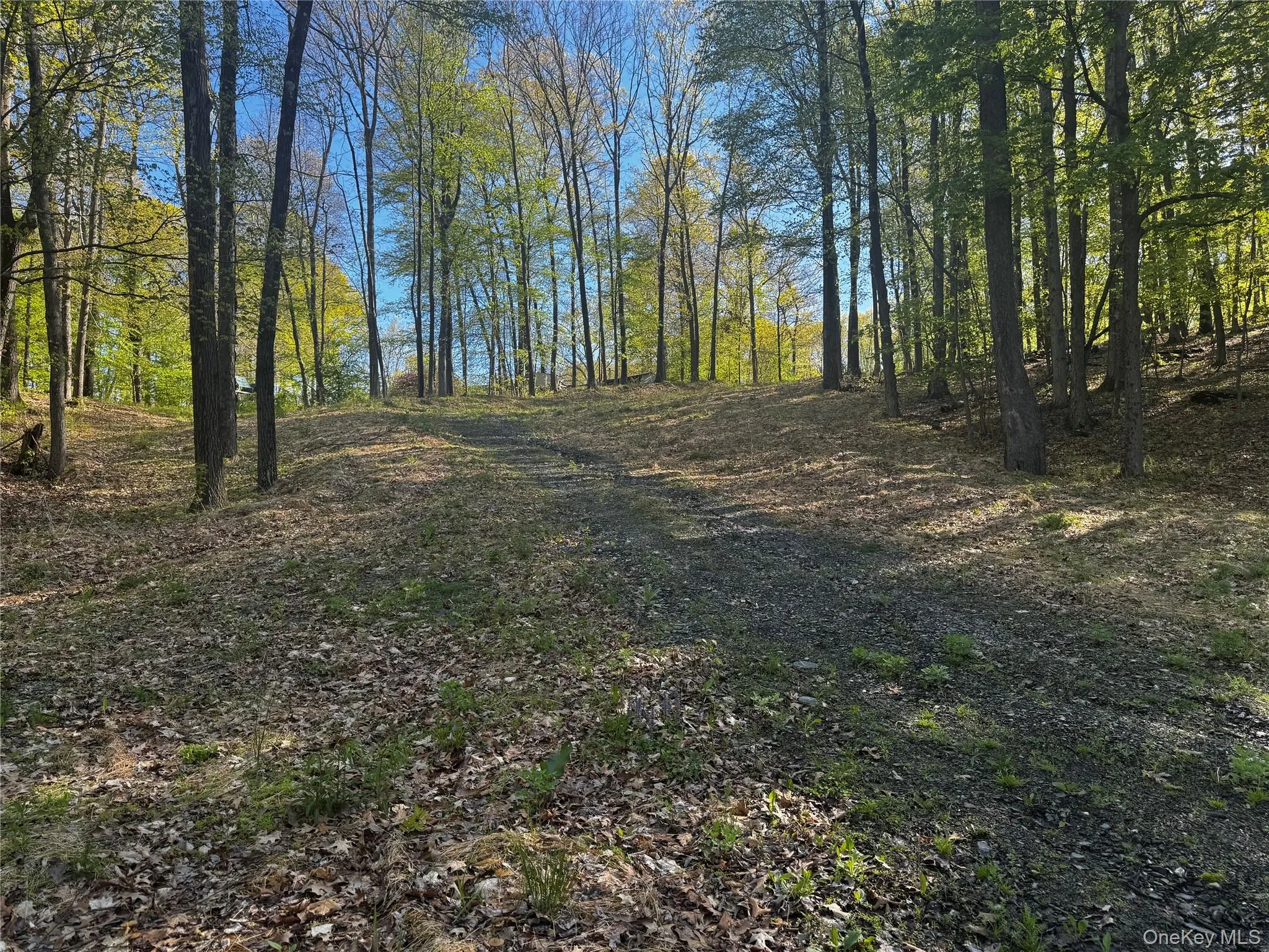 Hall Hill Road, Ancram, NY, ,Land,For Rent,Hall Hill,0,998490 Hall Hill Road, Ancram, NY, ,Land,For Rent,Hall Hill,0,998490