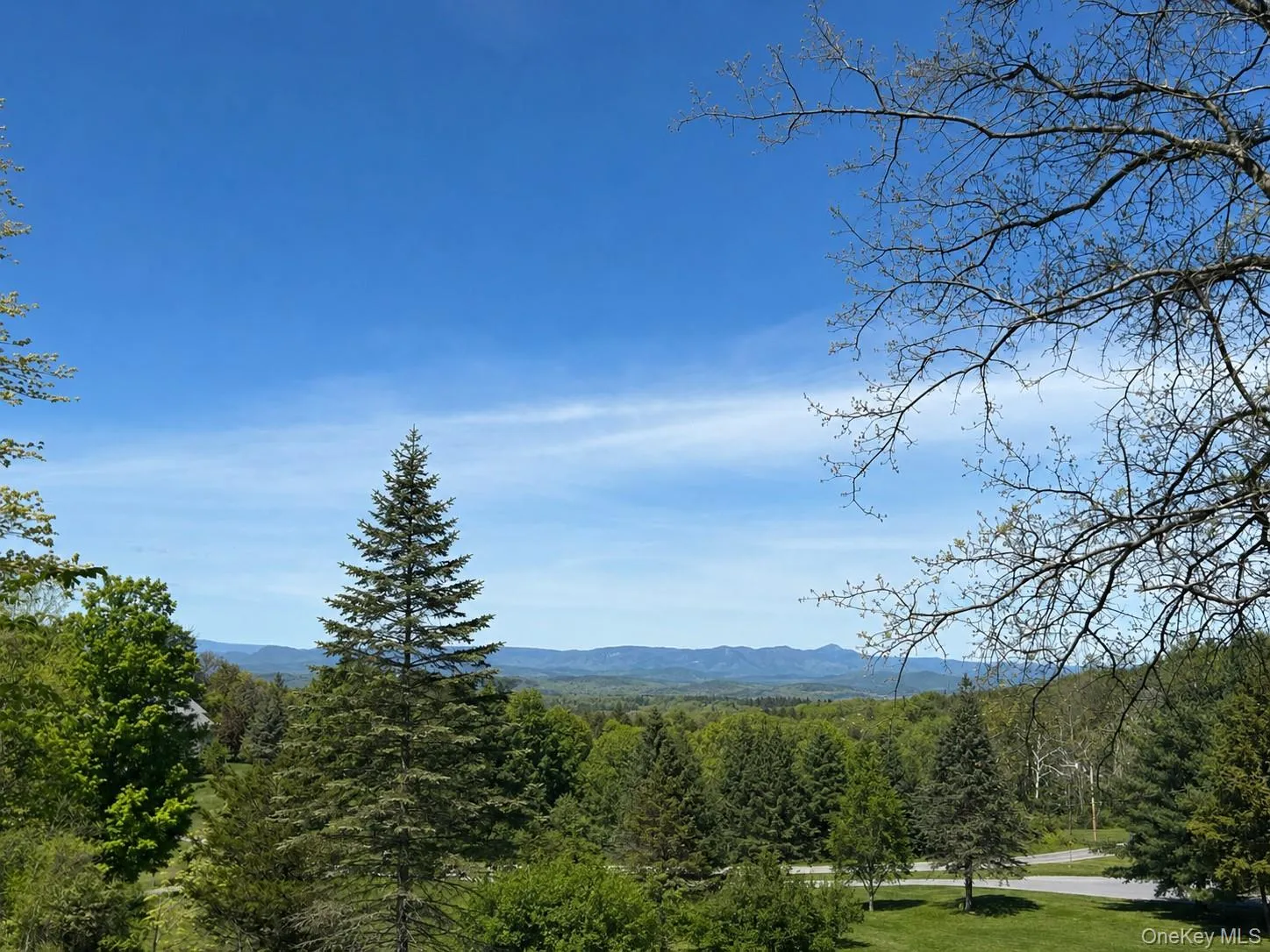 AI Removed Trees to show Mtn views AI Removed Trees to show Mtn views
