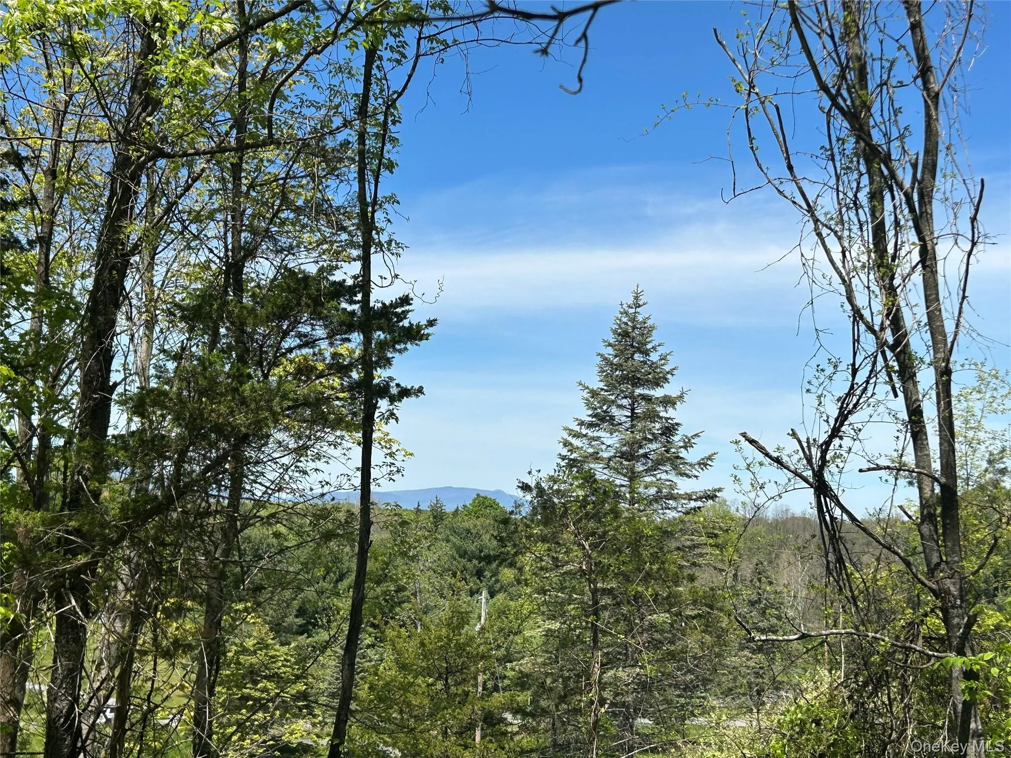 1763 County Route 19, Clermont, NY, 3 Bedrooms Bedrooms, 14 Rooms Rooms,2 BathroomsBathrooms,Residential,For Rent,County Route 19,0,998510 1763 County Route 19, Clermont, NY, 3 Bedrooms Bedrooms, 14 Rooms Rooms,2 BathroomsBathrooms,Residential,For Rent,County Route 19,0,998510