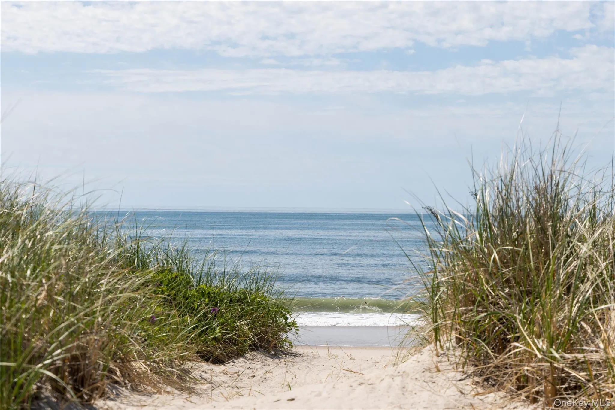 373 Dune Road, Southampton, NY, 4 Bedrooms Bedrooms, 7 Rooms Rooms,4 BathroomsBathrooms,Residential,For Rent,Dune,0,998516 373 Dune Road, Southampton, NY, 4 Bedrooms Bedrooms, 7 Rooms Rooms,4 BathroomsBathrooms,Residential,For Rent,Dune,0,998516
