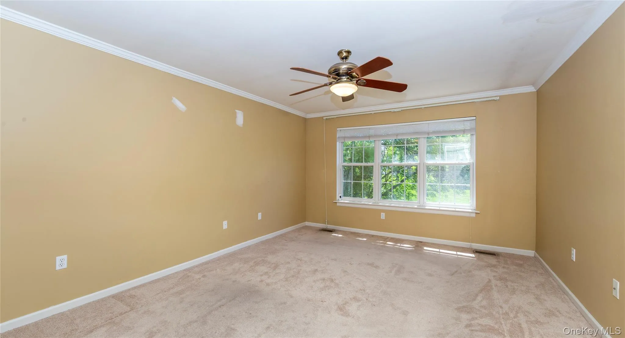 Nicely sized first floor primary bedroom. Nicely sized first floor primary bedroom.