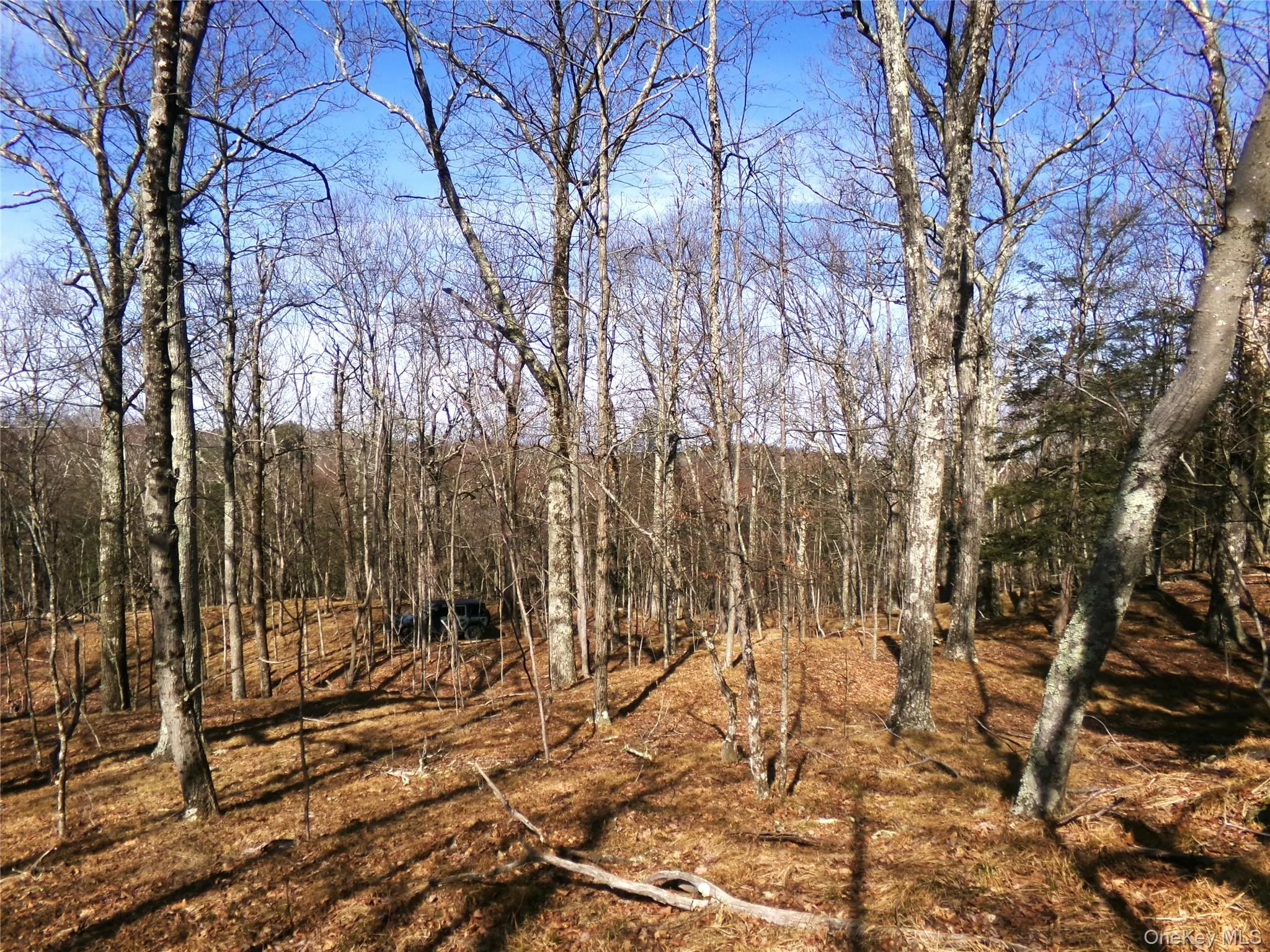 View of nature featuring a view of trees View of nature featuring a view of trees