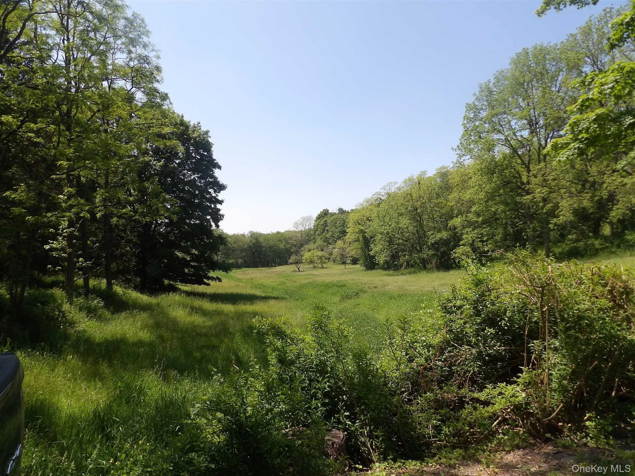 303 Hicks Hill Road, Pine Plains, NY, 5 Bedrooms Bedrooms, 10 Rooms Rooms,3 BathroomsBathrooms,Residential Sale,For Rent,Hicks Hill,0,998694 303 Hicks Hill Road, Pine Plains, NY, 5 Bedrooms Bedrooms, 10 Rooms Rooms,3 BathroomsBathrooms,Residential Sale,For Rent,Hicks Hill,0,998694