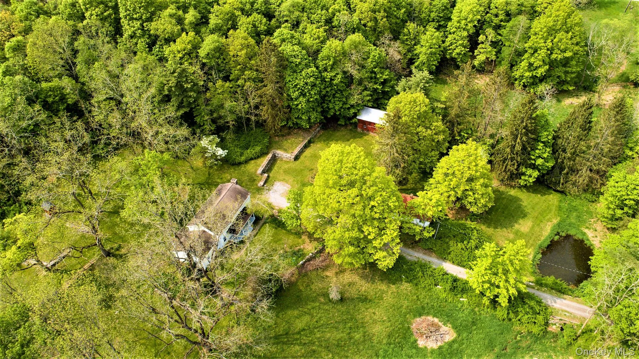 Bird's eye view with a view of trees Bird's eye view with a view of trees