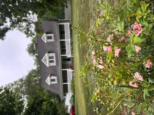 4 Conservation Circus Road, Brookhaven, NY, 5 Bedrooms Bedrooms, 9 Rooms Rooms,2 BathroomsBathrooms,Residential,For Rent,Conservation Circus,0,998842 4 Conservation Circus Road, Brookhaven, NY, 5 Bedrooms Bedrooms, 9 Rooms Rooms,2 BathroomsBathrooms,Residential,For Rent,Conservation Circus,0,998842