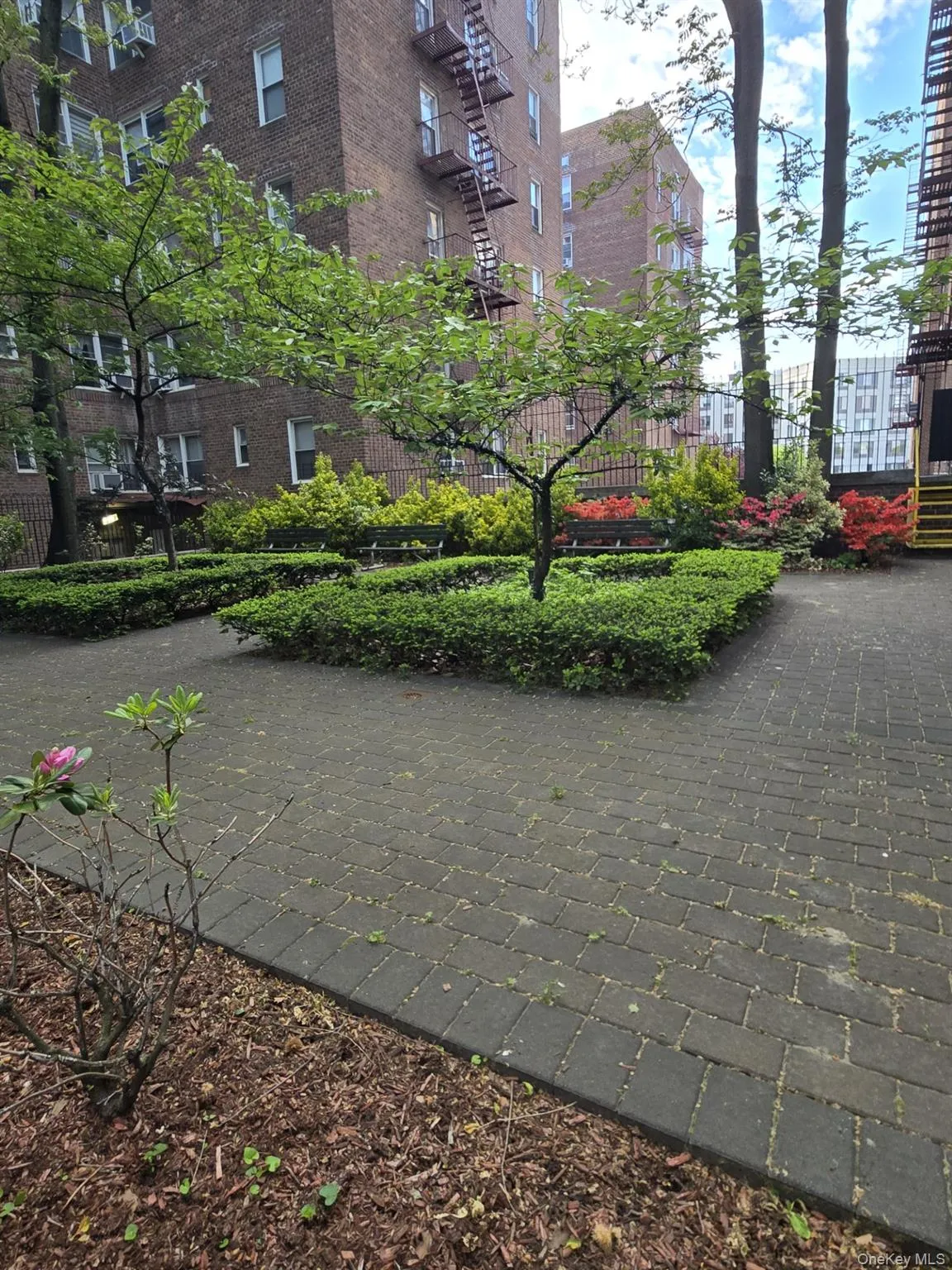 64-35 Yellowstone Blvd. 64-35 Yellowstone Blvd 6G, New York, NY, 2 Rooms Rooms,1 BathroomBathrooms,Residential Lease,For Rent,64-35 Yellowstone Blvd 6G,0,998910 64-35 Yellowstone Blvd. 64-35 Yellowstone Blvd 6G, New York, NY, 2 Rooms Rooms,1 BathroomBathrooms,Residential Lease,For Rent,64-35 Yellowstone Blvd 6G,0,998910