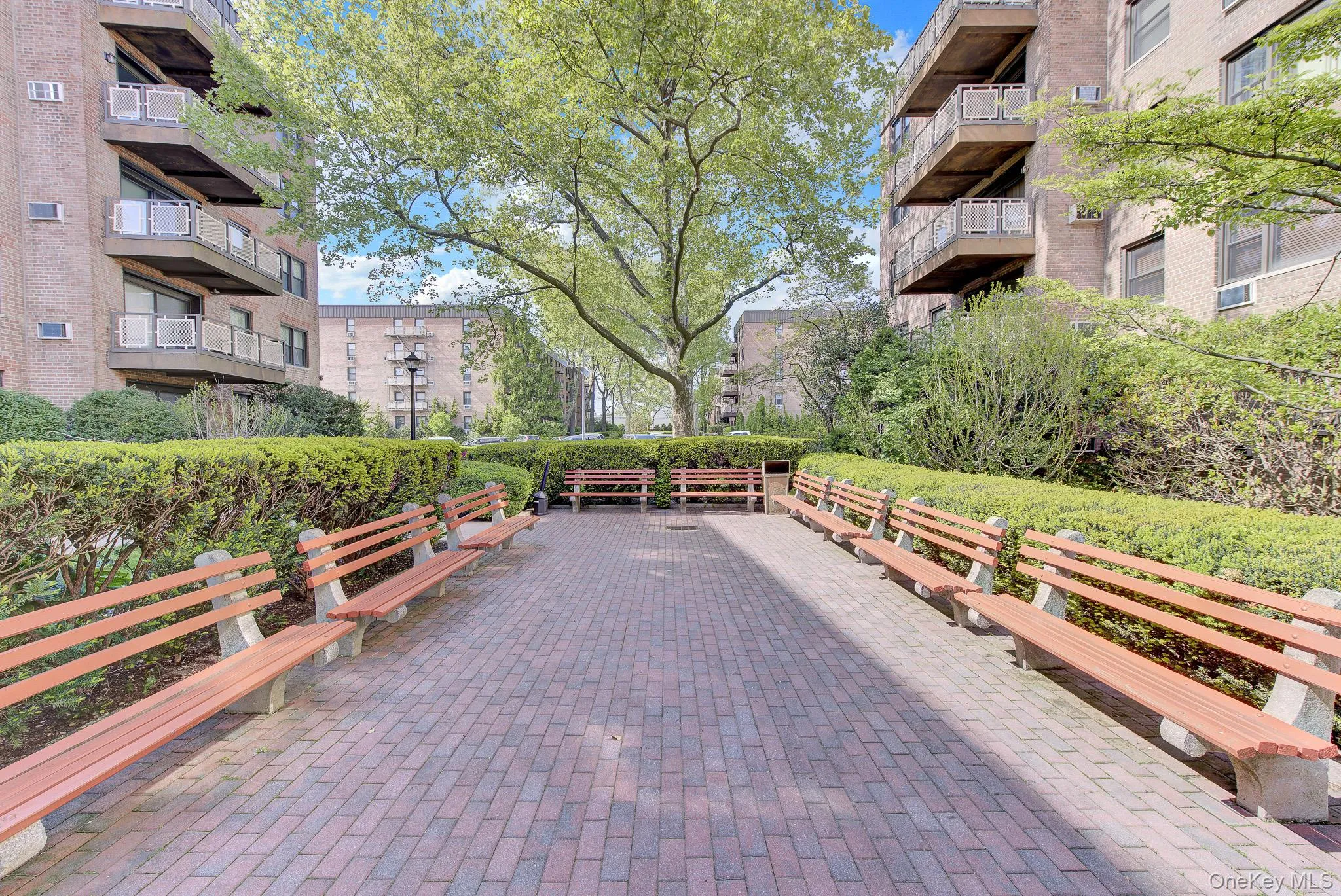 3 Birchwood Court, North Hempstead, NY, 1 Bedroom Bedrooms, 4 Rooms Rooms,1 BathroomBathrooms,Residential,For Rent,Birchwood,0,998916 3 Birchwood Court, North Hempstead, NY, 1 Bedroom Bedrooms, 4 Rooms Rooms,1 BathroomBathrooms,Residential,For Rent,Birchwood,0,998916