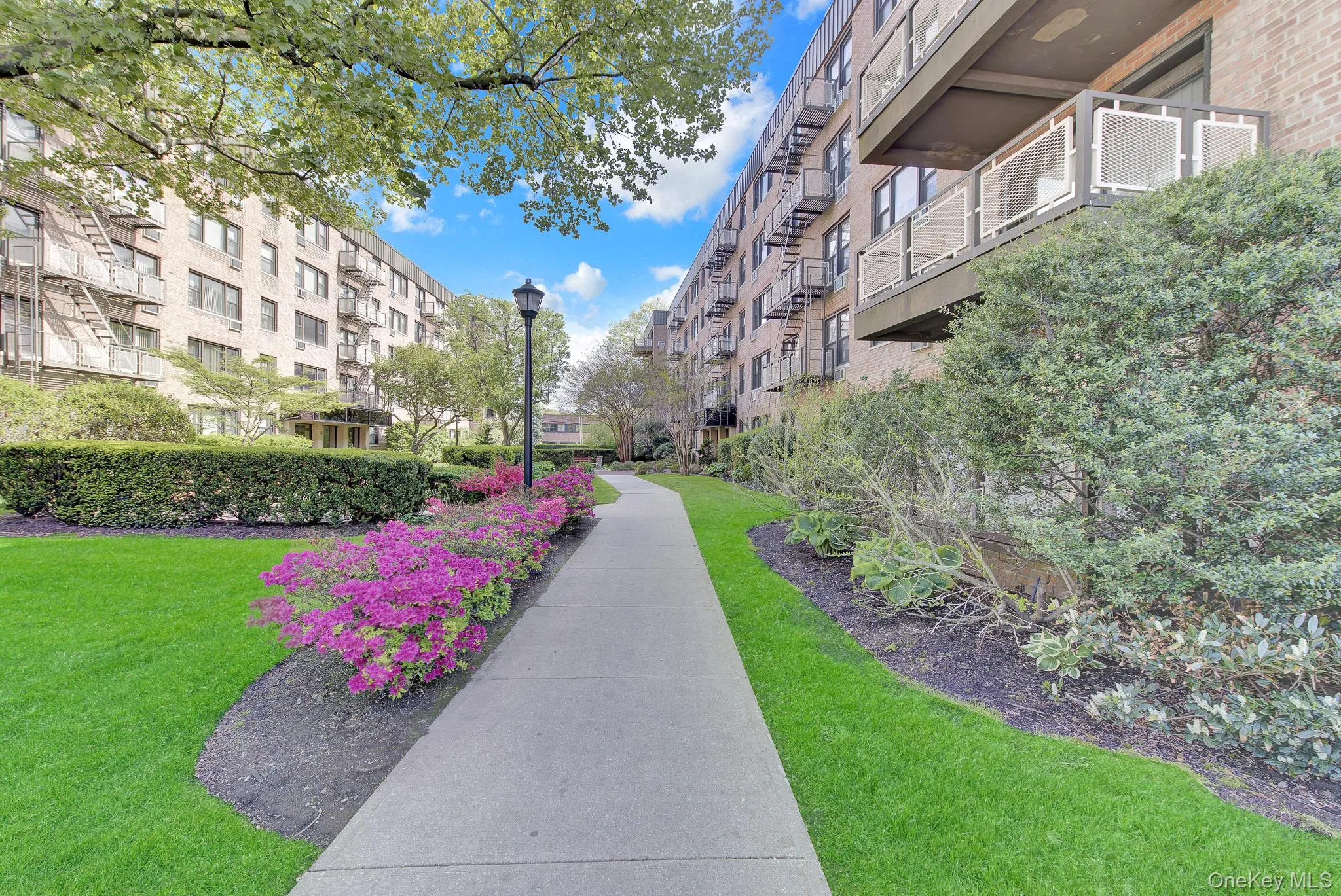 3 Birchwood Court, North Hempstead, NY, 1 Bedroom Bedrooms, 4 Rooms Rooms,1 BathroomBathrooms,Residential,For Rent,Birchwood,0,998916 3 Birchwood Court, North Hempstead, NY, 1 Bedroom Bedrooms, 4 Rooms Rooms,1 BathroomBathrooms,Residential,For Rent,Birchwood,0,998916