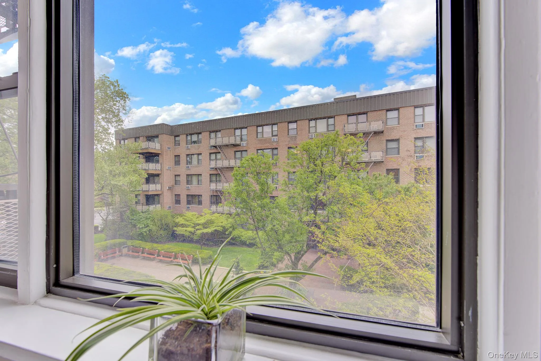 3 Birchwood Court, North Hempstead, NY, 1 Bedroom Bedrooms, 4 Rooms Rooms,1 BathroomBathrooms,Residential,For Rent,Birchwood,0,998916 3 Birchwood Court, North Hempstead, NY, 1 Bedroom Bedrooms, 4 Rooms Rooms,1 BathroomBathrooms,Residential,For Rent,Birchwood,0,998916