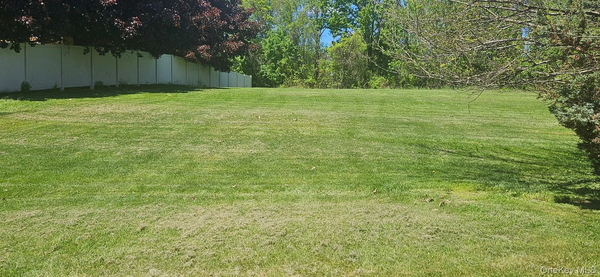 Backyard tranquil setting Backyard tranquil setting