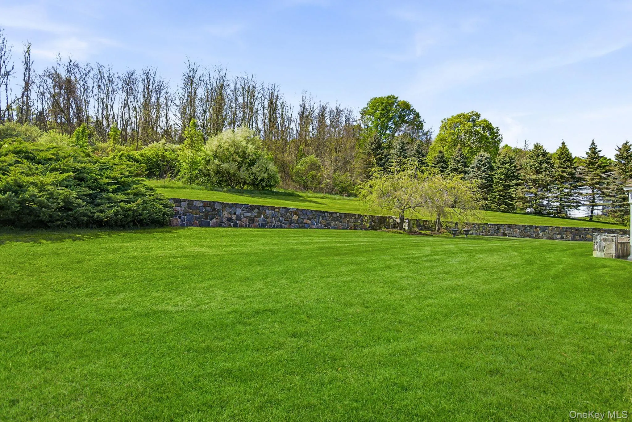 Expansive lawn area featuring a stone retaining wall and mature evergreen trees Expansive lawn area featuring a stone retaining wall and mature evergreen trees
