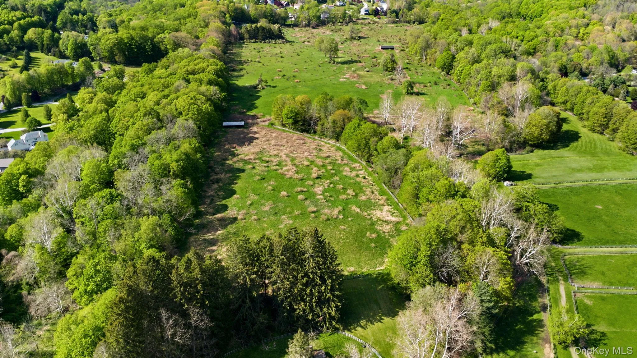 Forever green protecting the subdivision. Forever green protecting the subdivision.
