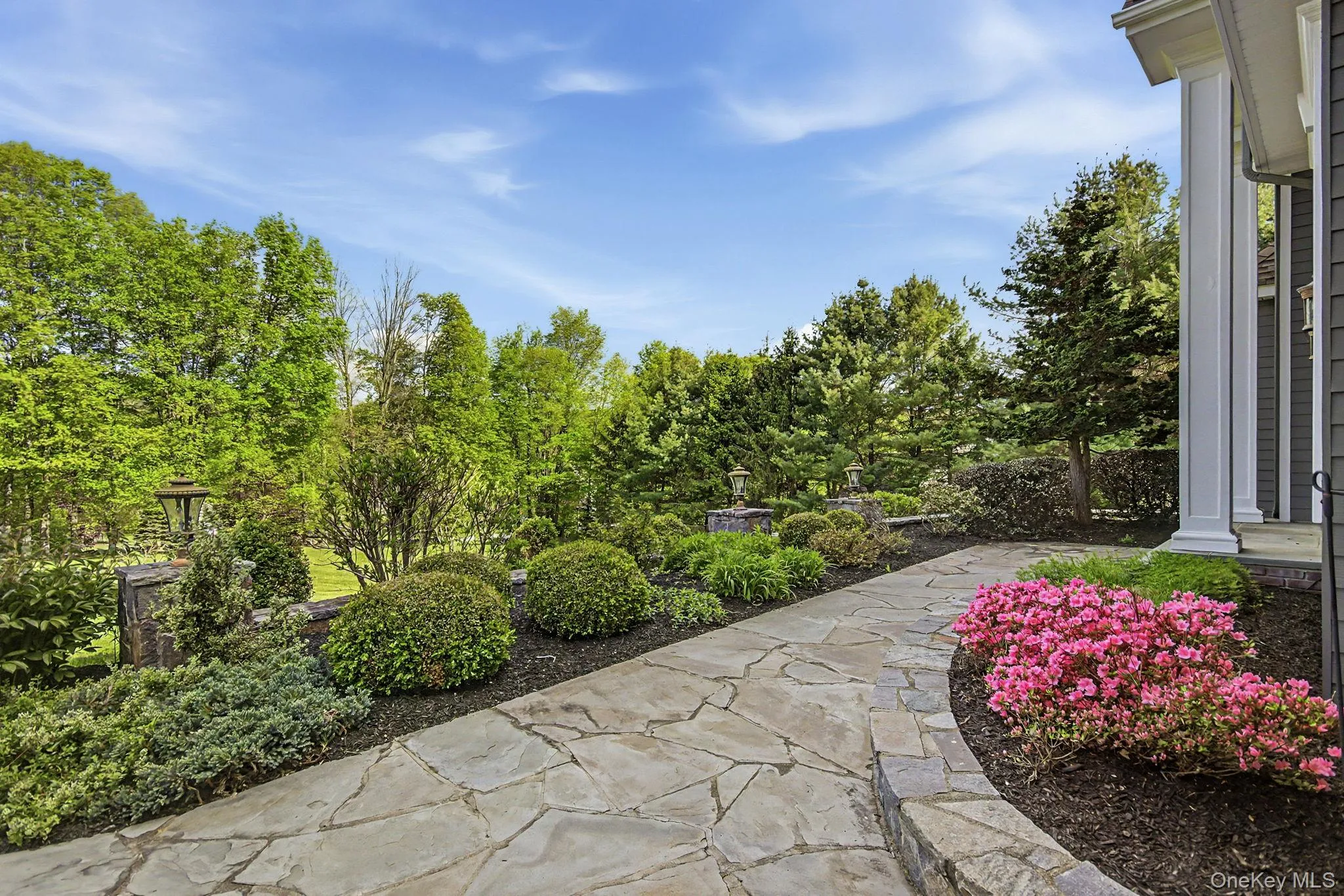 Flagstone pathway bordered by vibrant pink azaleas, leading to a home with white architectural columns Flagstone pathway bordered by vibrant pink azaleas, leading to a home with white architectural columns