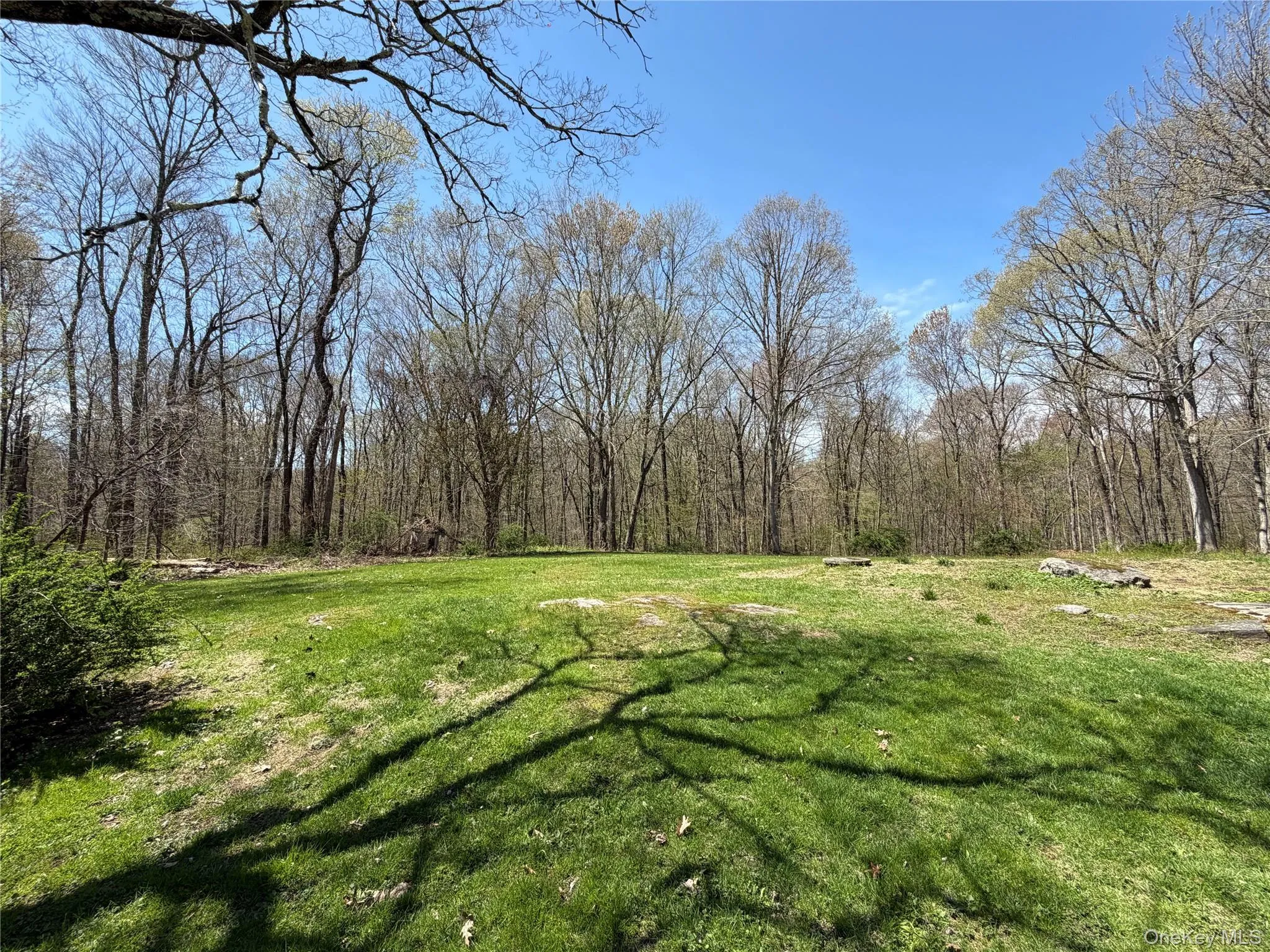 450 Haviland Drive, Patterson, NY, 3 Bedrooms Bedrooms, 8 Rooms Rooms,1 BathroomBathrooms,Residential,For Rent,Haviland,0,998962 450 Haviland Drive, Patterson, NY, 3 Bedrooms Bedrooms, 8 Rooms Rooms,1 BathroomBathrooms,Residential,For Rent,Haviland,0,998962