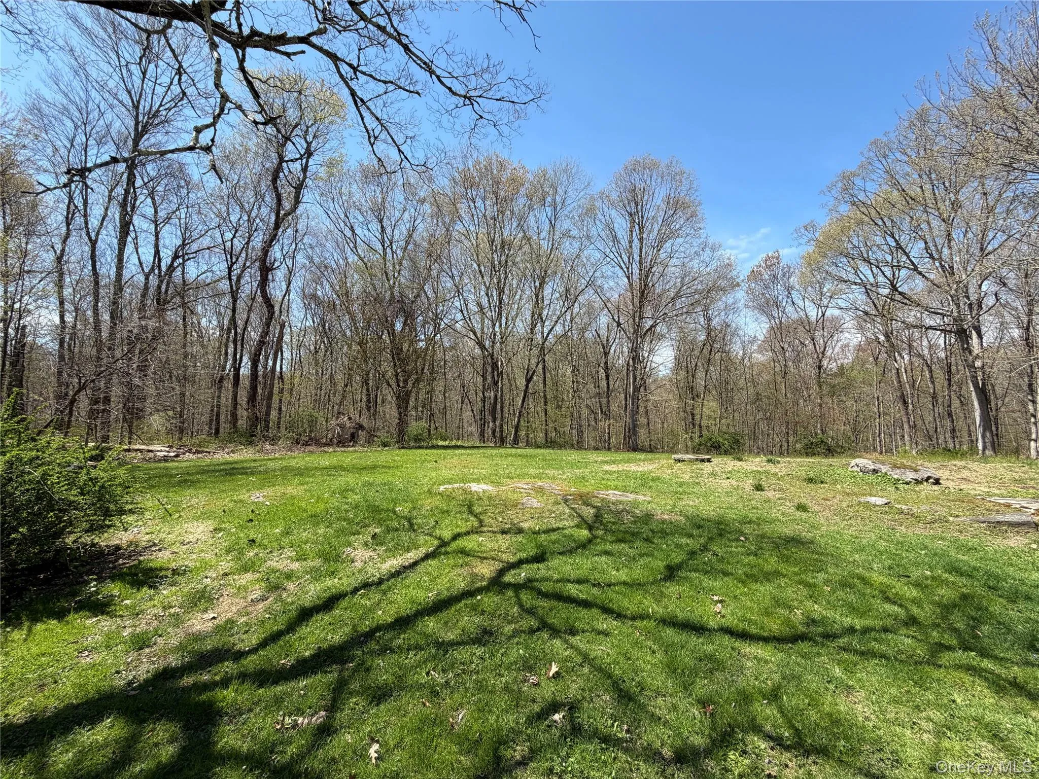 450 Haviland Drive, Patterson, NY, 3 Bedrooms Bedrooms, 8 Rooms Rooms,1 BathroomBathrooms,Residential,For Rent,Haviland,0,998962 450 Haviland Drive, Patterson, NY, 3 Bedrooms Bedrooms, 8 Rooms Rooms,1 BathroomBathrooms,Residential,For Rent,Haviland,0,998962