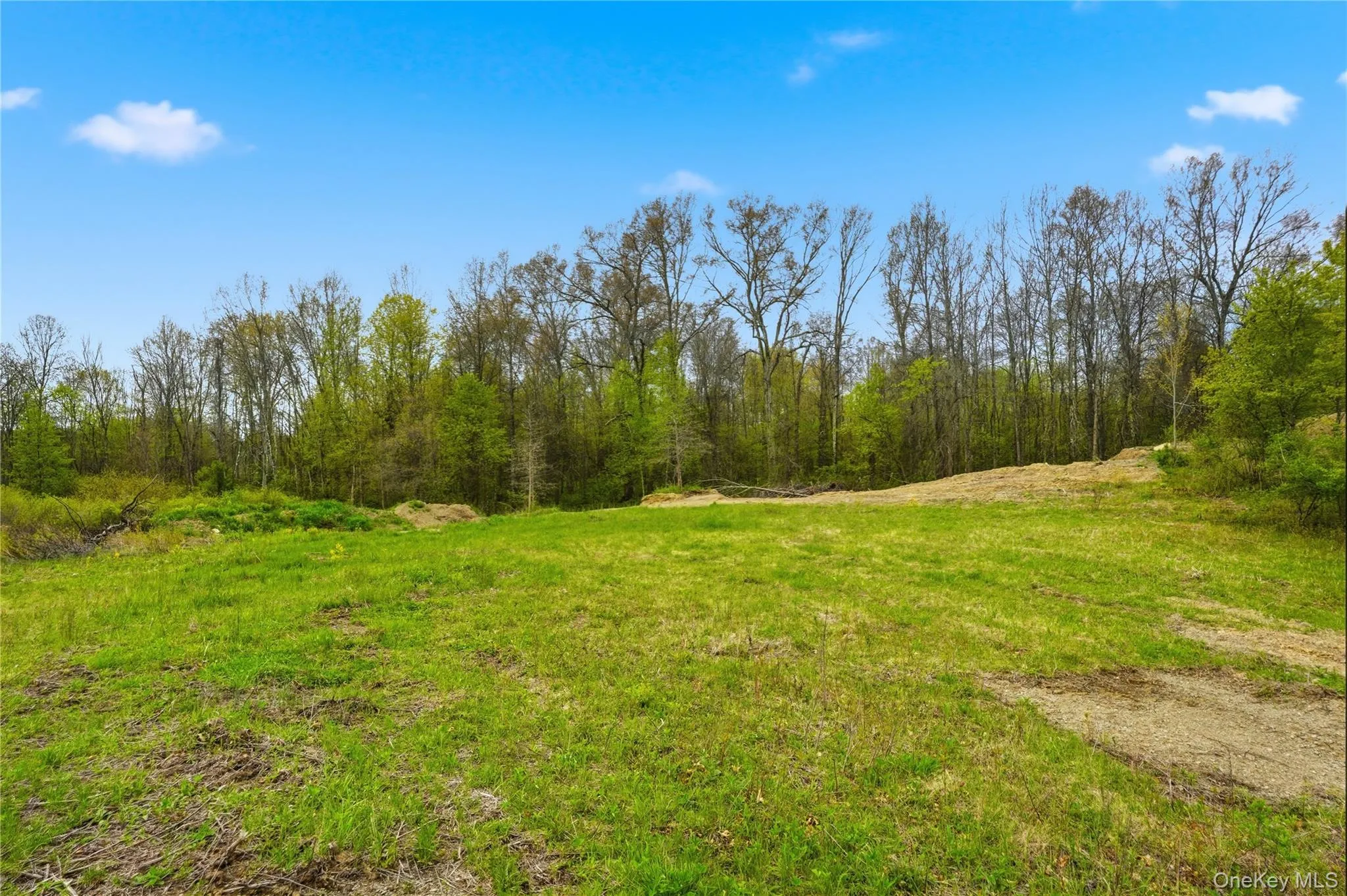 11 Scenic Meadow Drive, Gardiner, NY, ,Land,For Rent,Scenic Meadow,0,999007 11 Scenic Meadow Drive, Gardiner, NY, ,Land,For Rent,Scenic Meadow,0,999007
