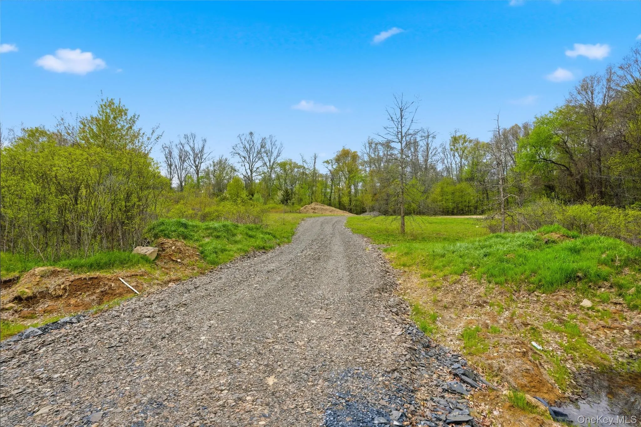 11 Scenic Meadow Drive, Gardiner, NY, ,Land,For Rent,Scenic Meadow,0,999007 11 Scenic Meadow Drive, Gardiner, NY, ,Land,For Rent,Scenic Meadow,0,999007