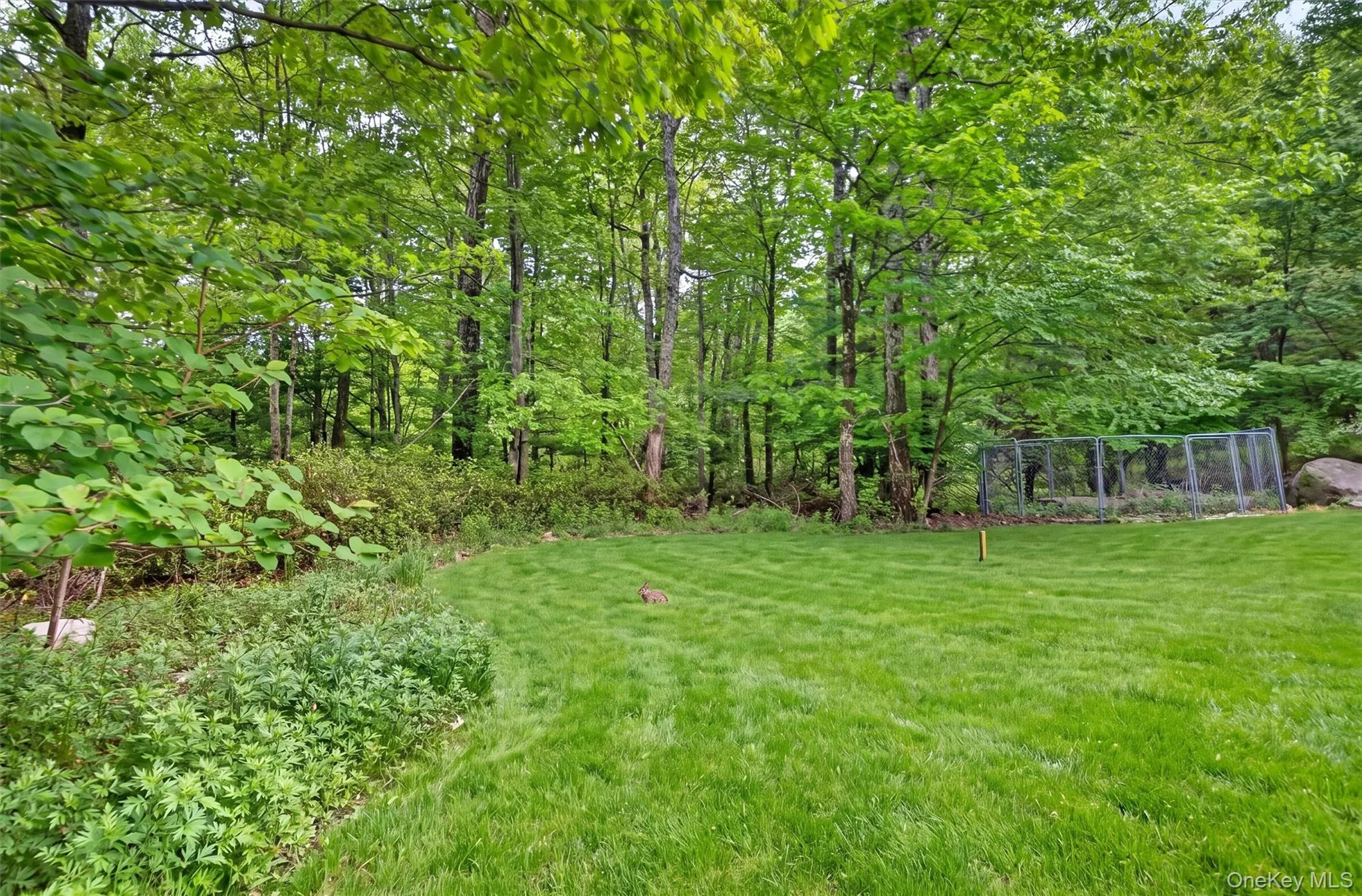 4 Clover Lane, Mamakating, NY, 4 Bedrooms Bedrooms, 9 Rooms Rooms,2 BathroomsBathrooms,Residential,For Rent,Clover,0,999050 4 Clover Lane, Mamakating, NY, 4 Bedrooms Bedrooms, 9 Rooms Rooms,2 BathroomsBathrooms,Residential,For Rent,Clover,0,999050