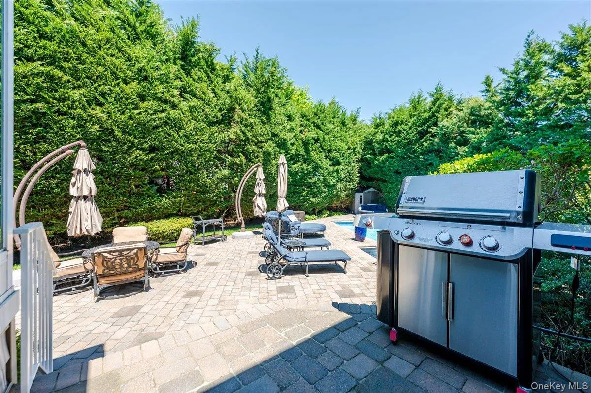 Ultimate entertaining yard Ultimate entertaining yard