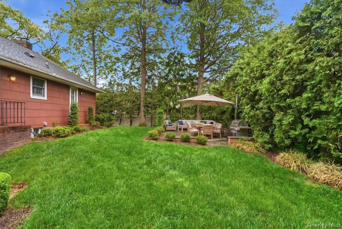 Patio and backyard Patio and backyard