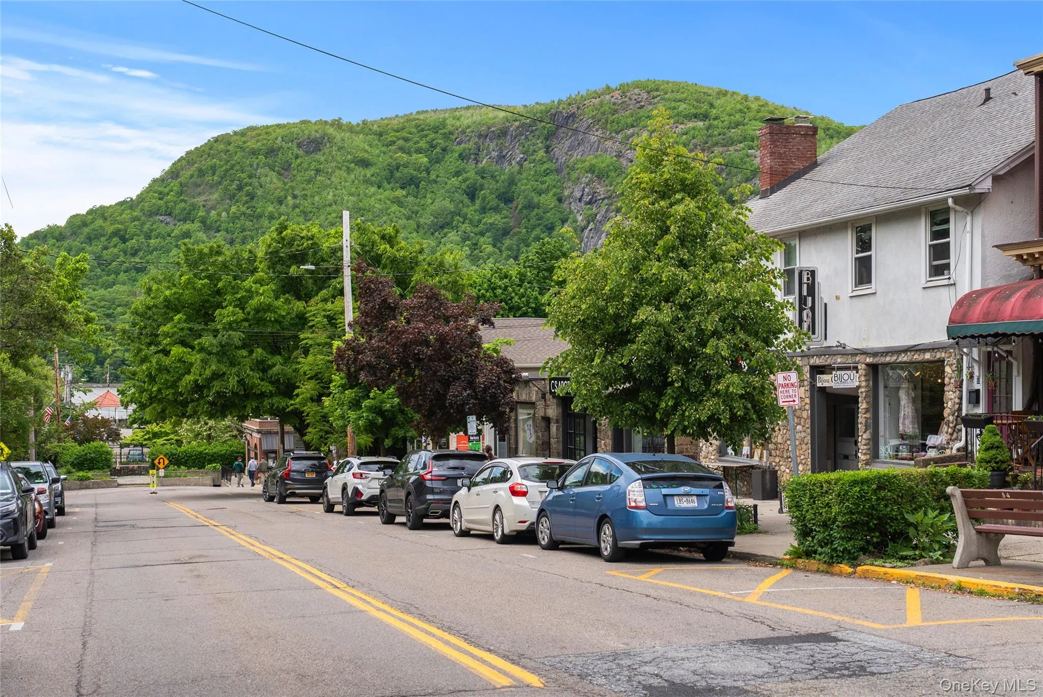 Downtown Cold Spring Downtown Cold Spring