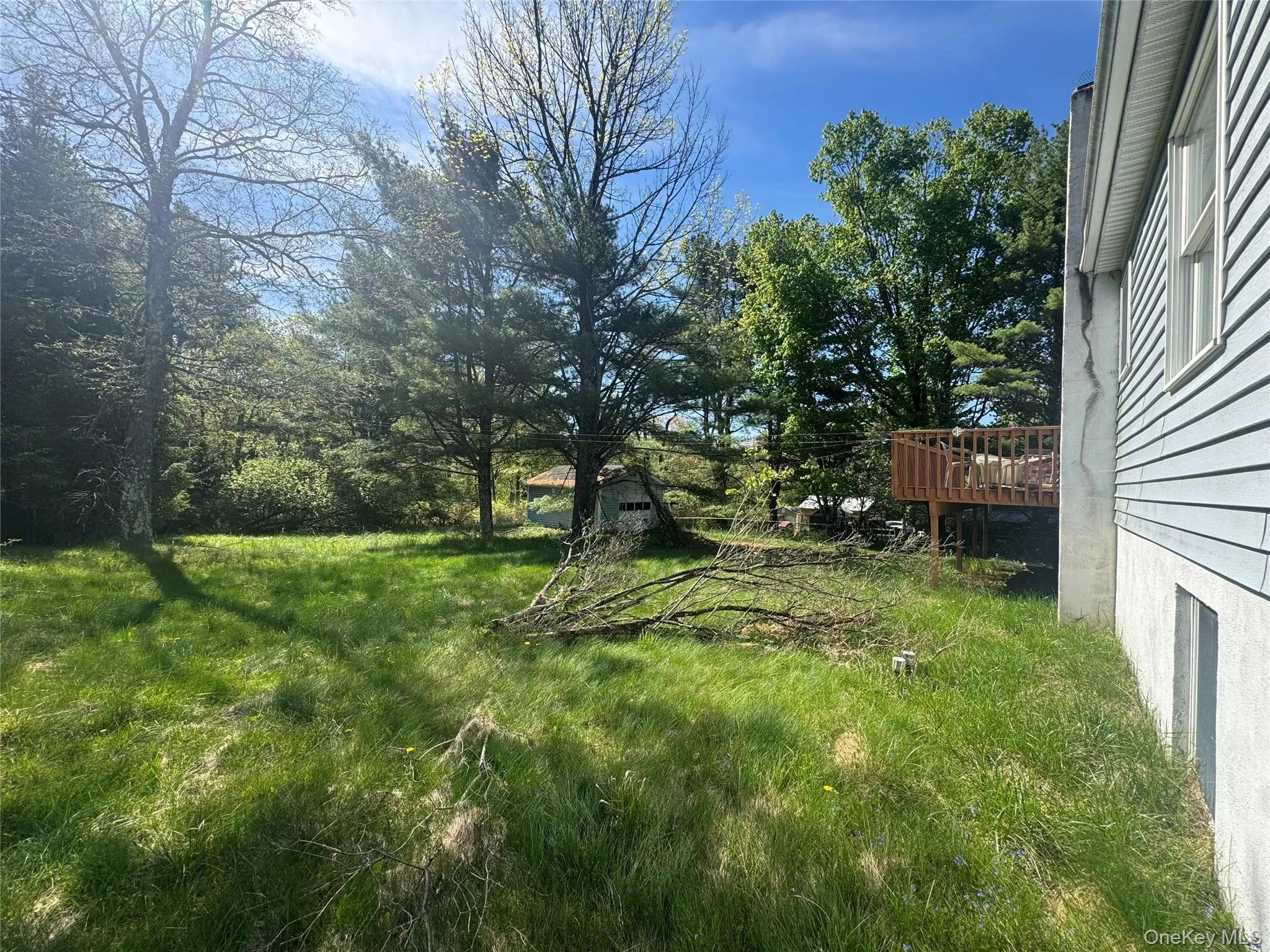 1613 Forestburgh Road, Lumberland, NY, 3 Bedrooms Bedrooms, 7 Rooms Rooms,2 BathroomsBathrooms,Residential,For Rent,Forestburgh,0,999217 1613 Forestburgh Road, Lumberland, NY, 3 Bedrooms Bedrooms, 7 Rooms Rooms,2 BathroomsBathrooms,Residential,For Rent,Forestburgh,0,999217