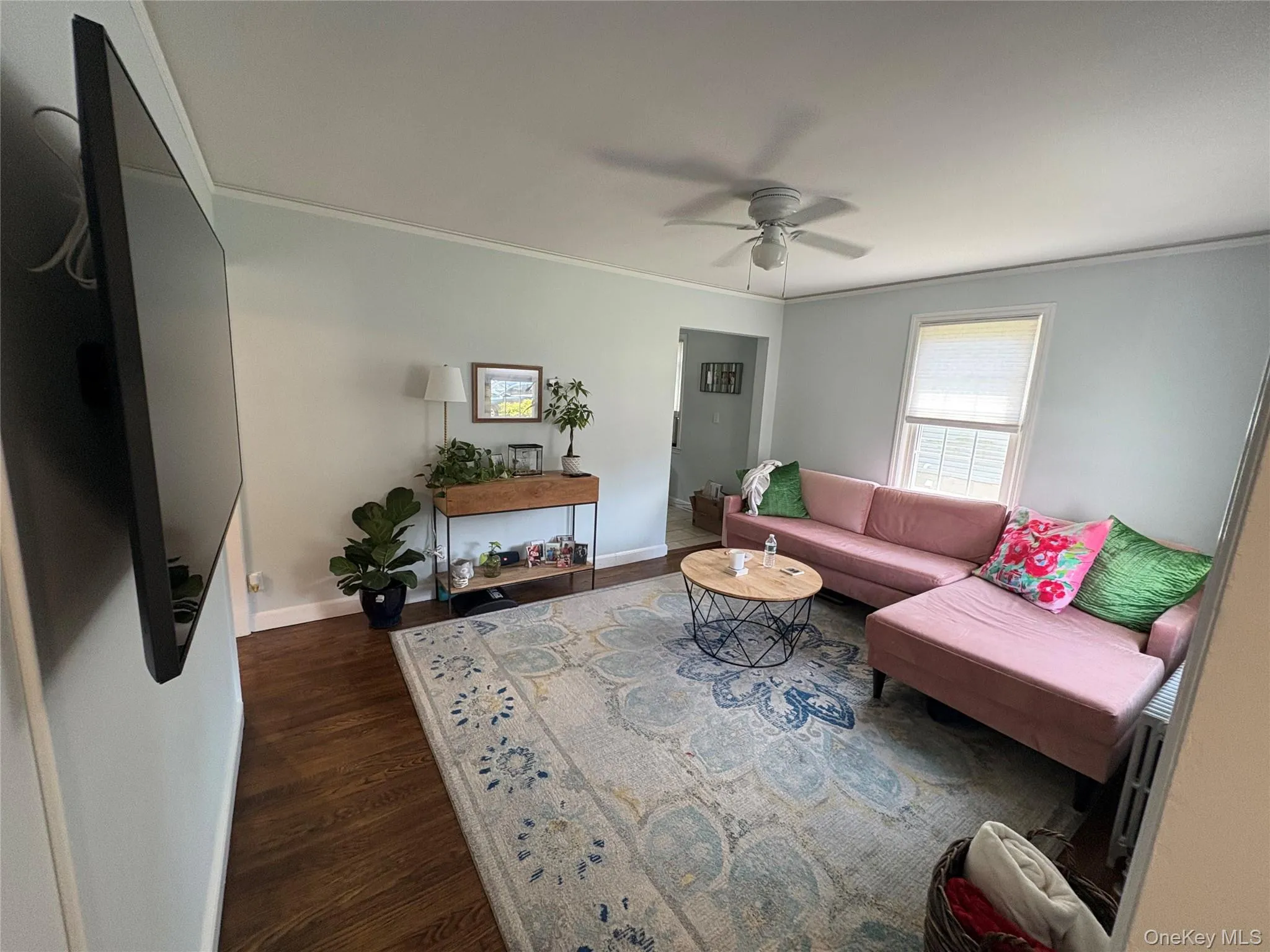 Living room featuring dark wood-style flooring, a ceiling fan, and ornamental molding Living room featuring dark wood-style flooring, a ceiling fan, and ornamental molding