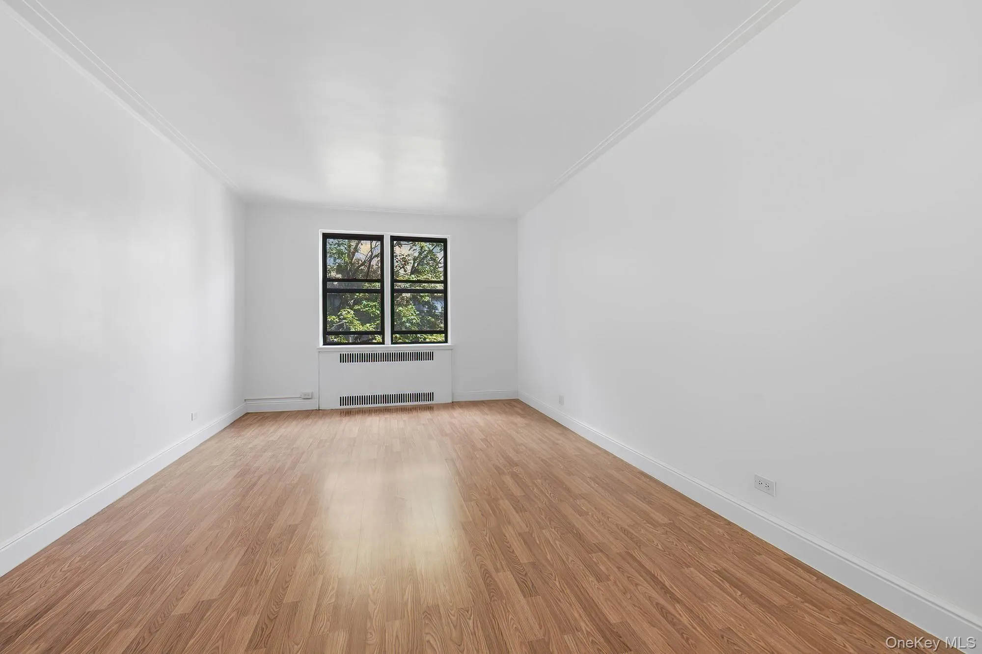 3015 Riverdale Avenue, New York, NY, 1 Bedroom Bedrooms, 3 Rooms Rooms,1 BathroomBathrooms,Residential Sale,For Rent,Riverdale,0,999233 3015 Riverdale Avenue, New York, NY, 1 Bedroom Bedrooms, 3 Rooms Rooms,1 BathroomBathrooms,Residential Sale,For Rent,Riverdale,0,999233