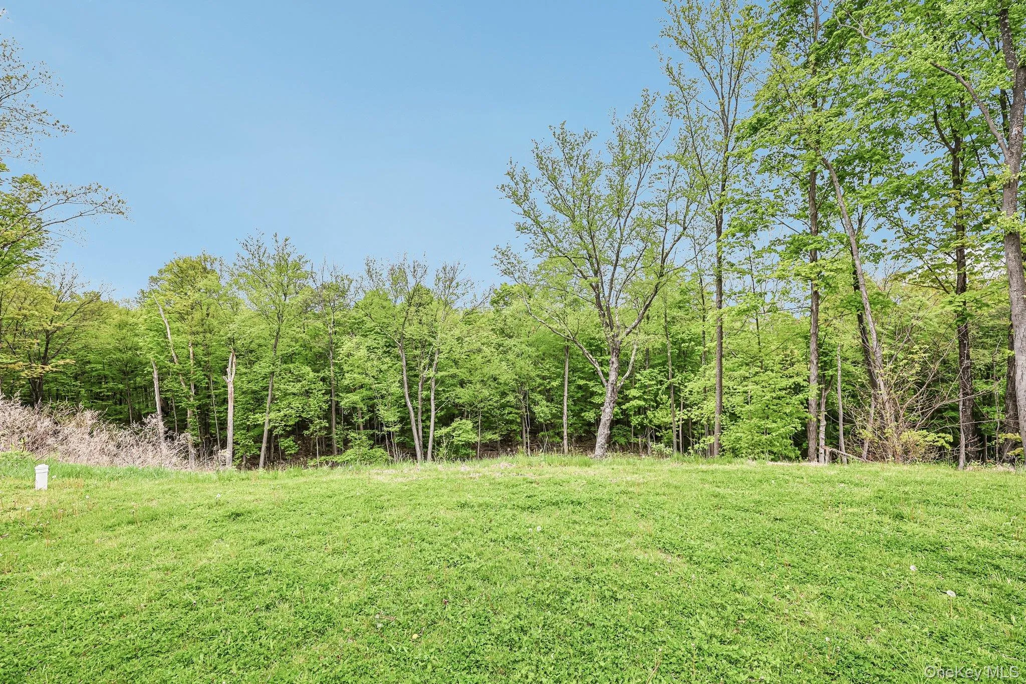 217 School House Road, Middletown, NY, 4 Bedrooms Bedrooms, 8 Rooms Rooms,2 BathroomsBathrooms,Residential,For Rent,School House,0,999323 217 School House Road, Middletown, NY, 4 Bedrooms Bedrooms, 8 Rooms Rooms,2 BathroomsBathrooms,Residential,For Rent,School House,0,999323