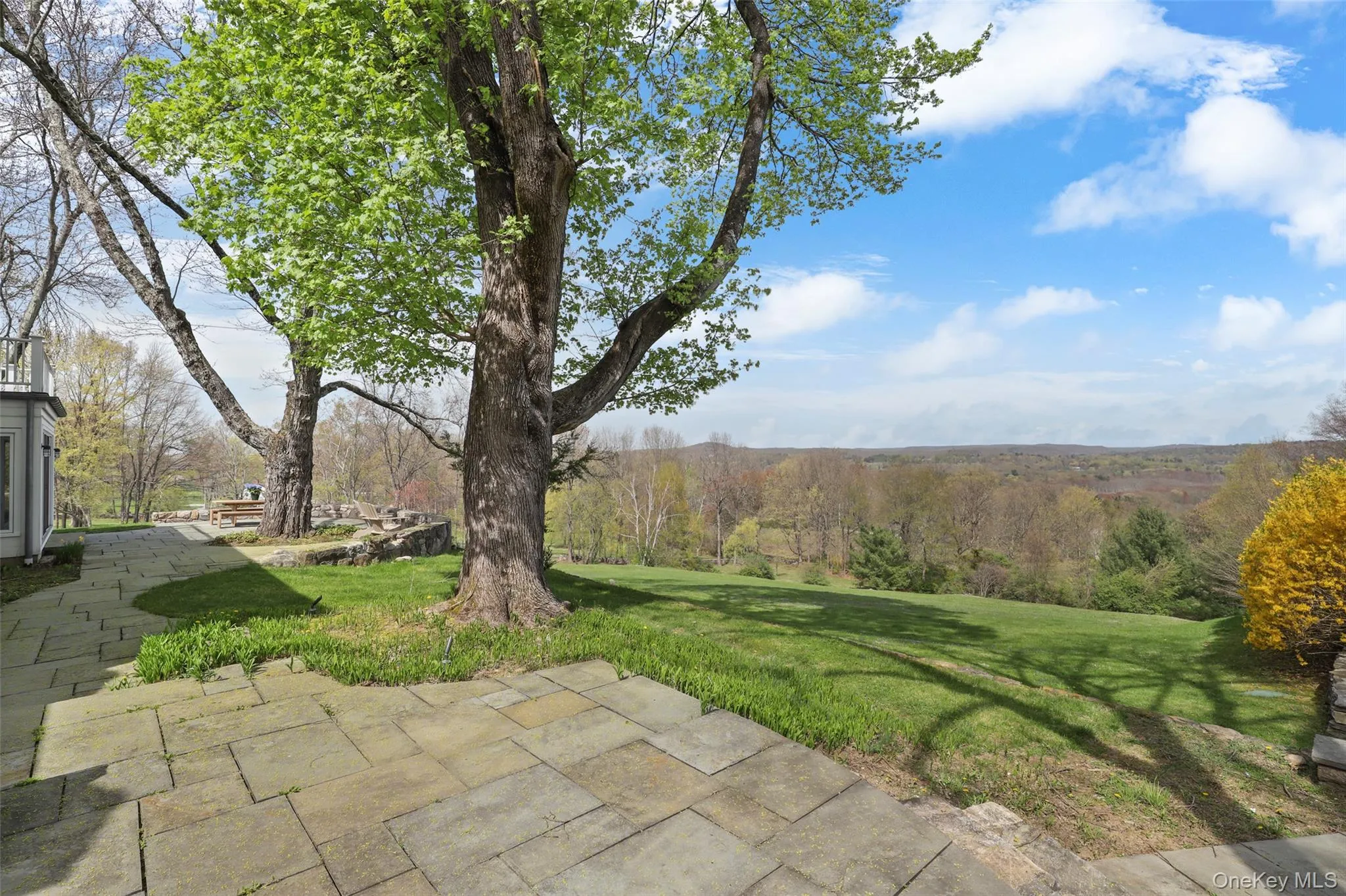 213 Baldwin Road, Bedford, NY, 5 Bedrooms Bedrooms, 11 Rooms Rooms,4 BathroomsBathrooms,Residential Lease,For Rent,Baldwin,0,999352 213 Baldwin Road, Bedford, NY, 5 Bedrooms Bedrooms, 11 Rooms Rooms,4 BathroomsBathrooms,Residential Lease,For Rent,Baldwin,0,999352