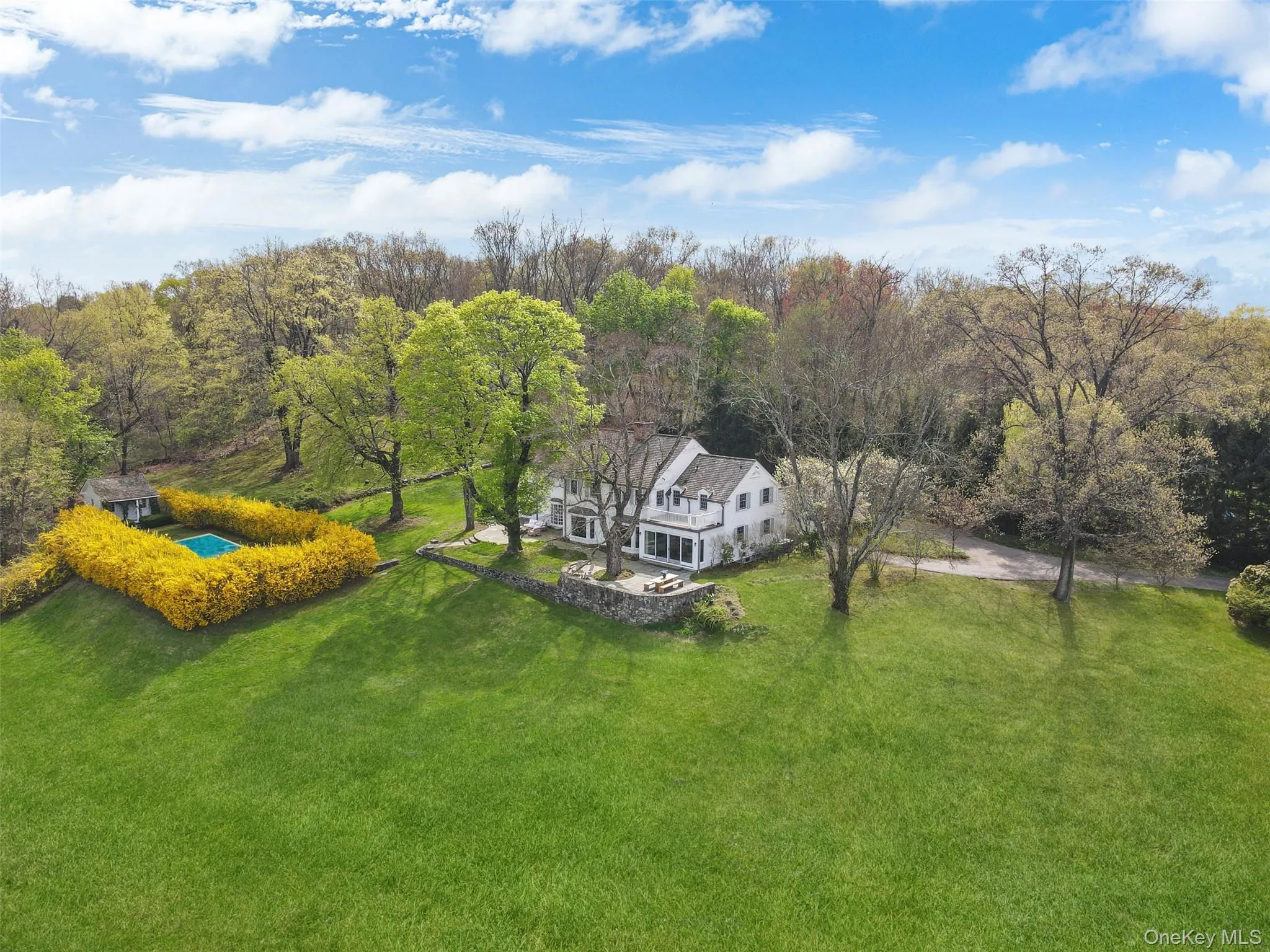 213 Baldwin Road, Bedford, NY, 5 Bedrooms Bedrooms, 11 Rooms Rooms,4 BathroomsBathrooms,Residential Lease,For Rent,Baldwin,0,999352 213 Baldwin Road, Bedford, NY, 5 Bedrooms Bedrooms, 11 Rooms Rooms,4 BathroomsBathrooms,Residential Lease,For Rent,Baldwin,0,999352